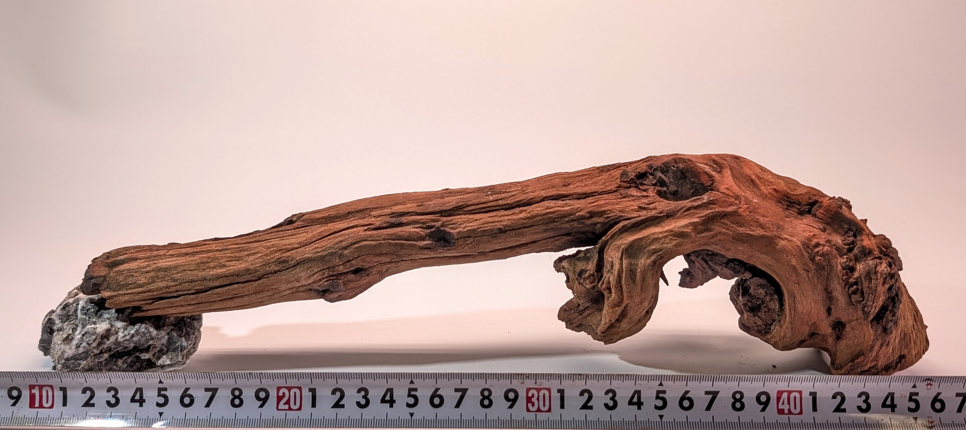 Natural driftwood  L size 25-40cm