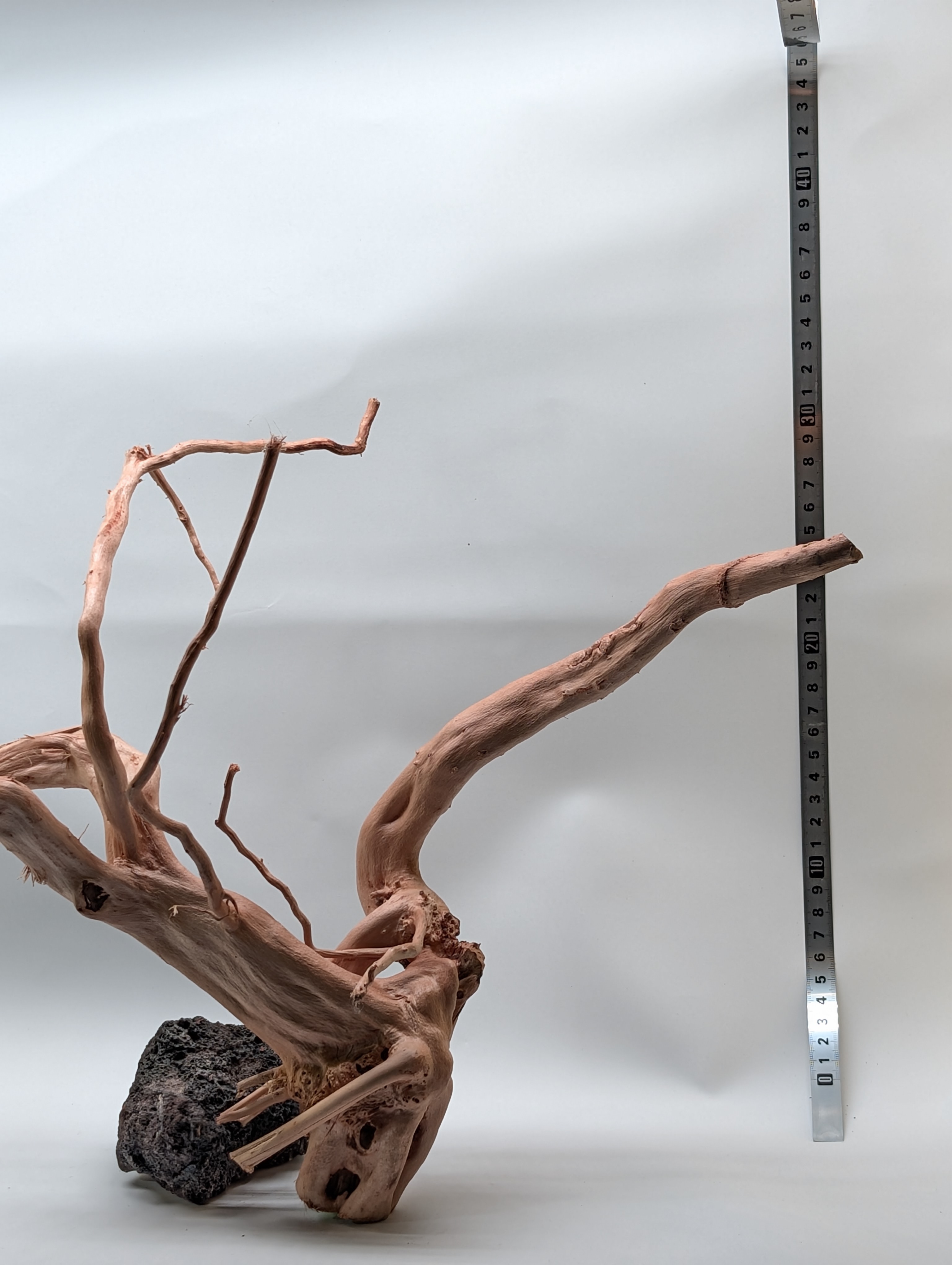 Aquarium gold vine driftwood  L size 25-40cm