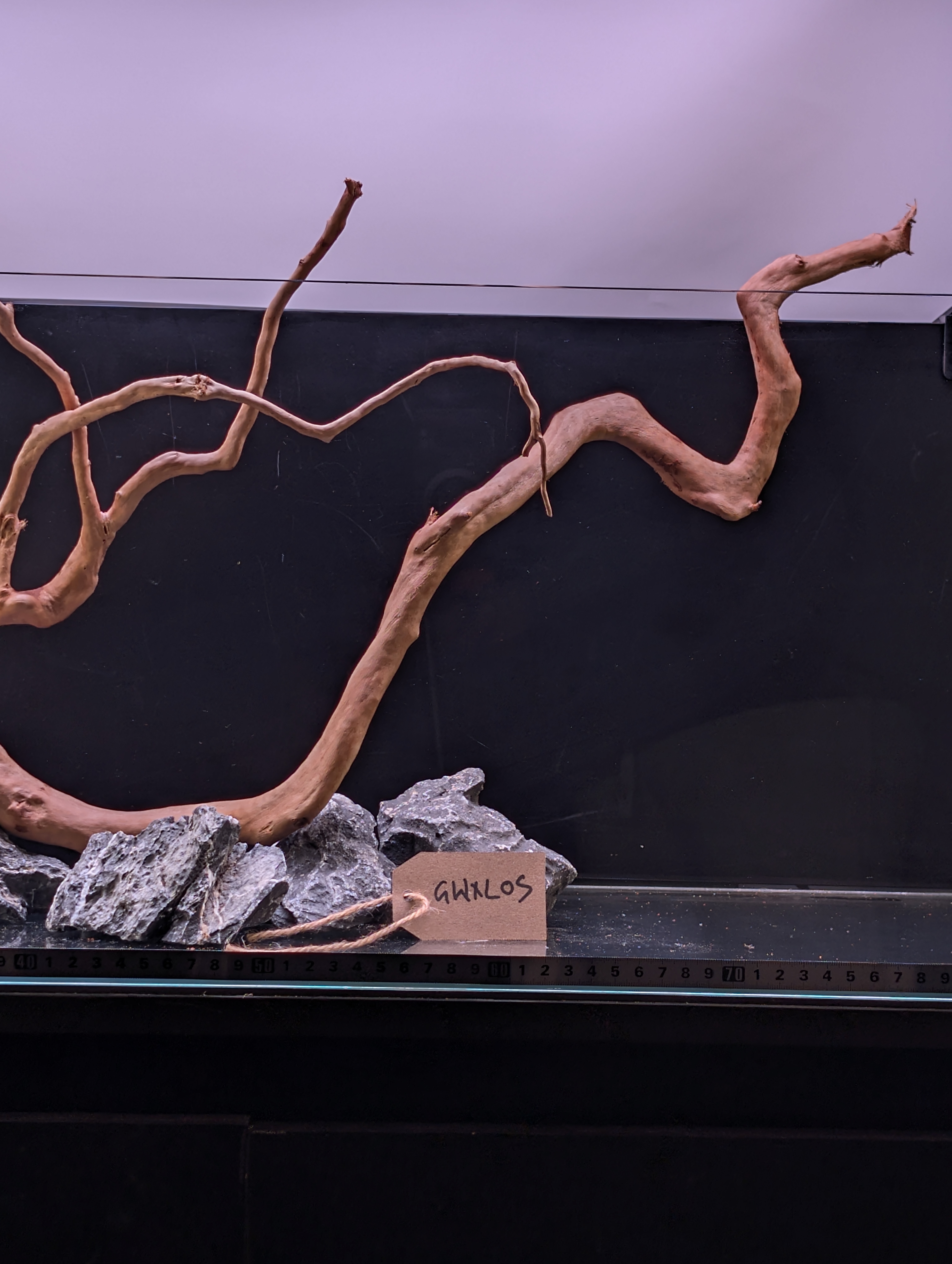 Aquarium Gold Vine driftwood  XL 60-80cm