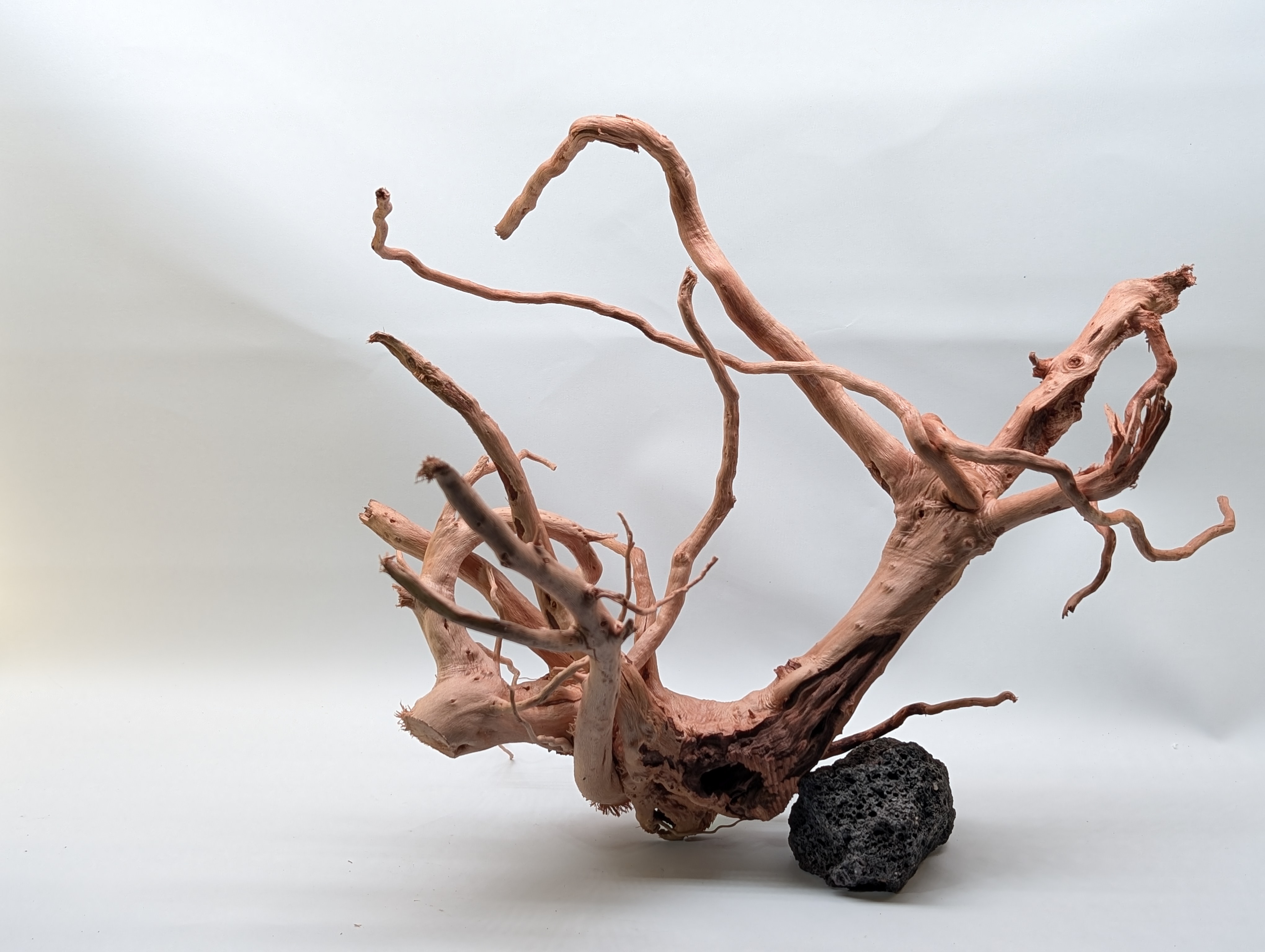 Aquarium Gold Vine driftwood XL 40-60cm