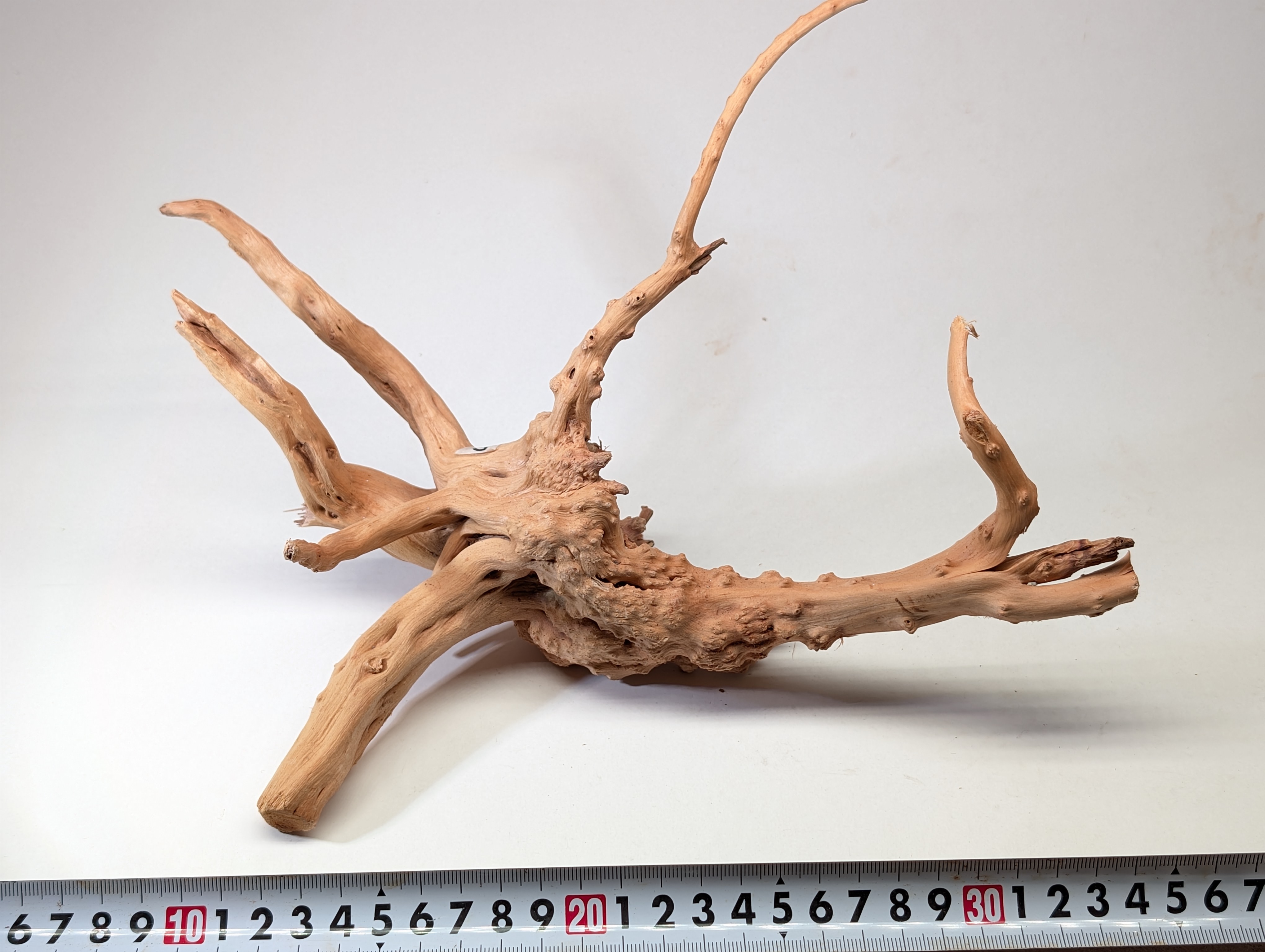 Aquarium gold vine driftwood  L size 25-40cm