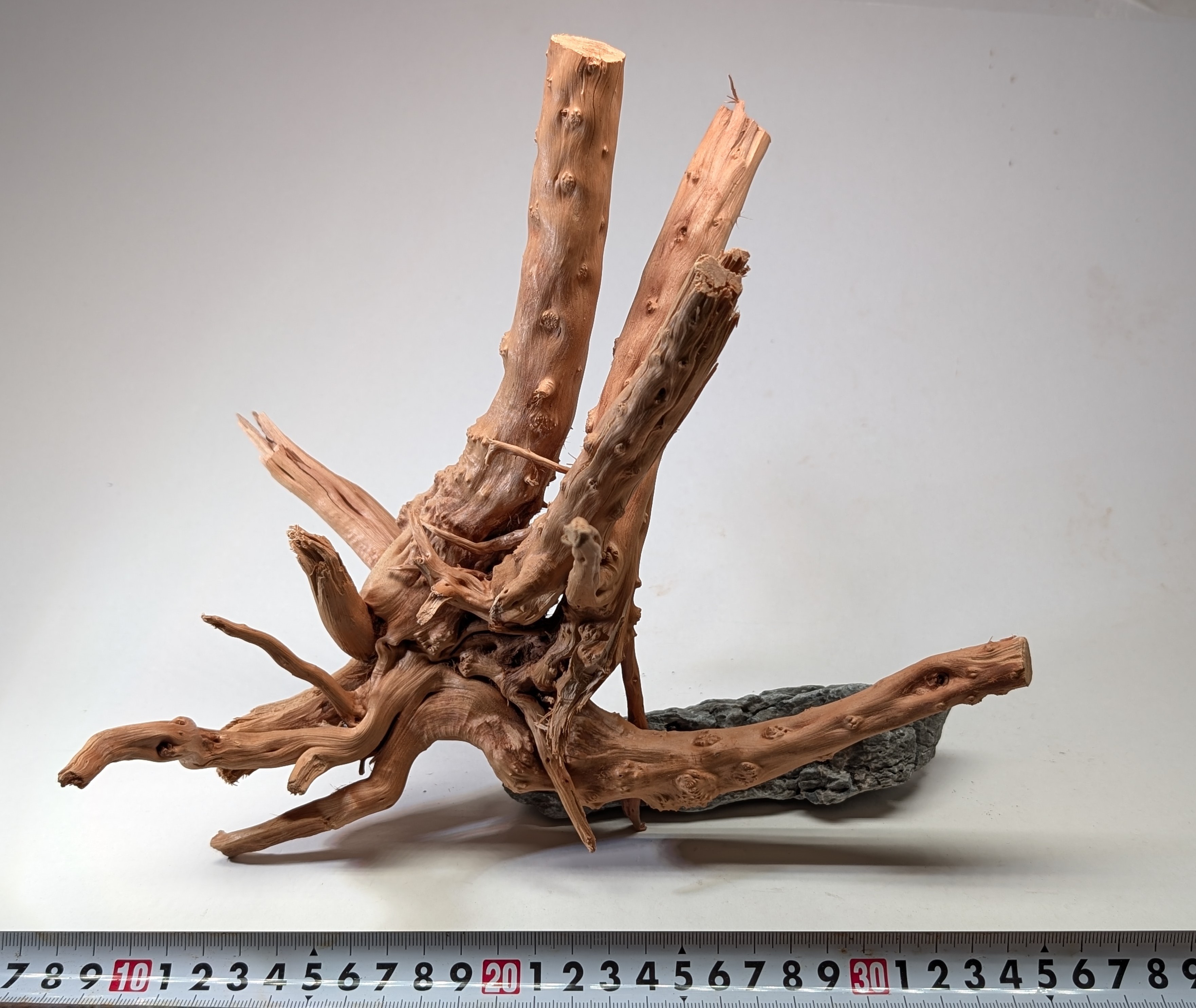 Aquarium gold vine driftwood L size 25-40cm