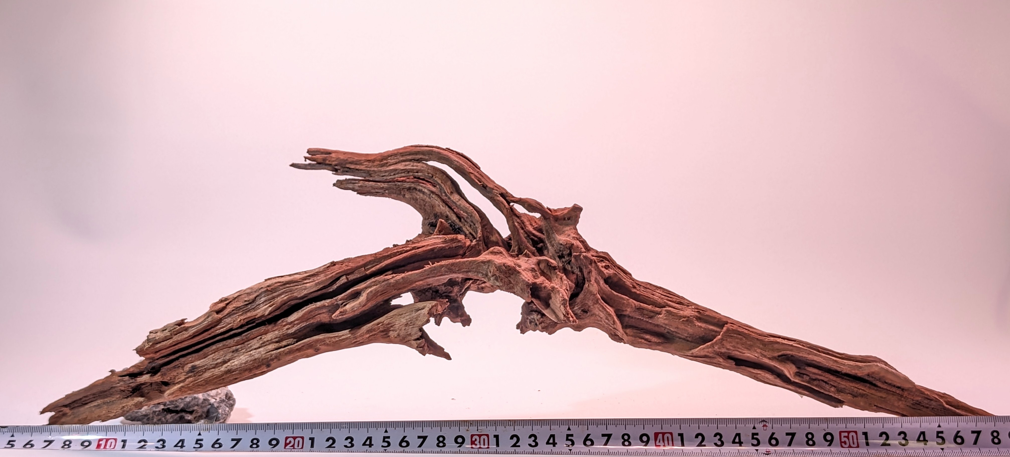 Natural driftwood  L size 40-60cm