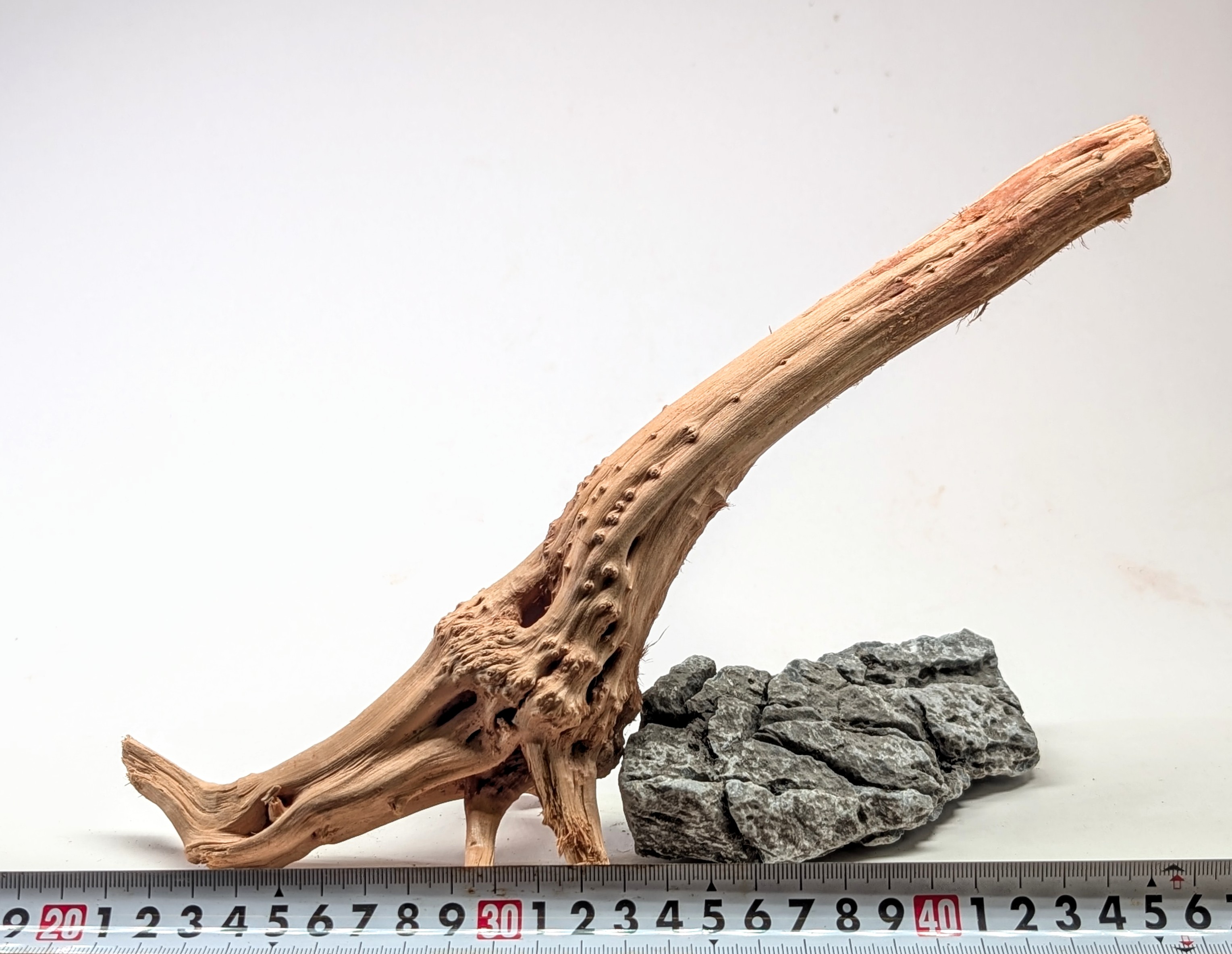 Aquarium gold vine drifrwood 25-30cm