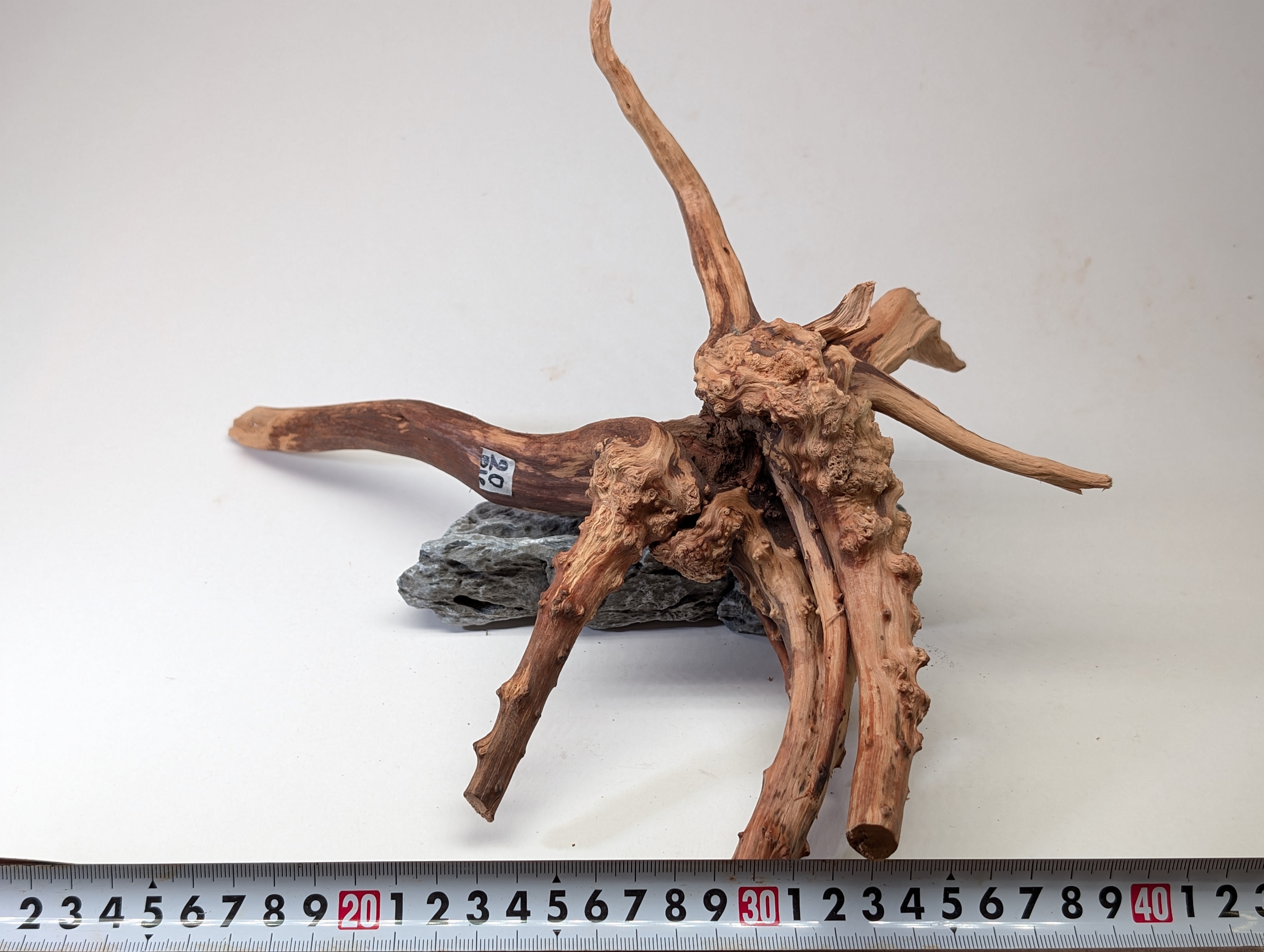 Aquarium gold vine driftwood  L size 25-40cm