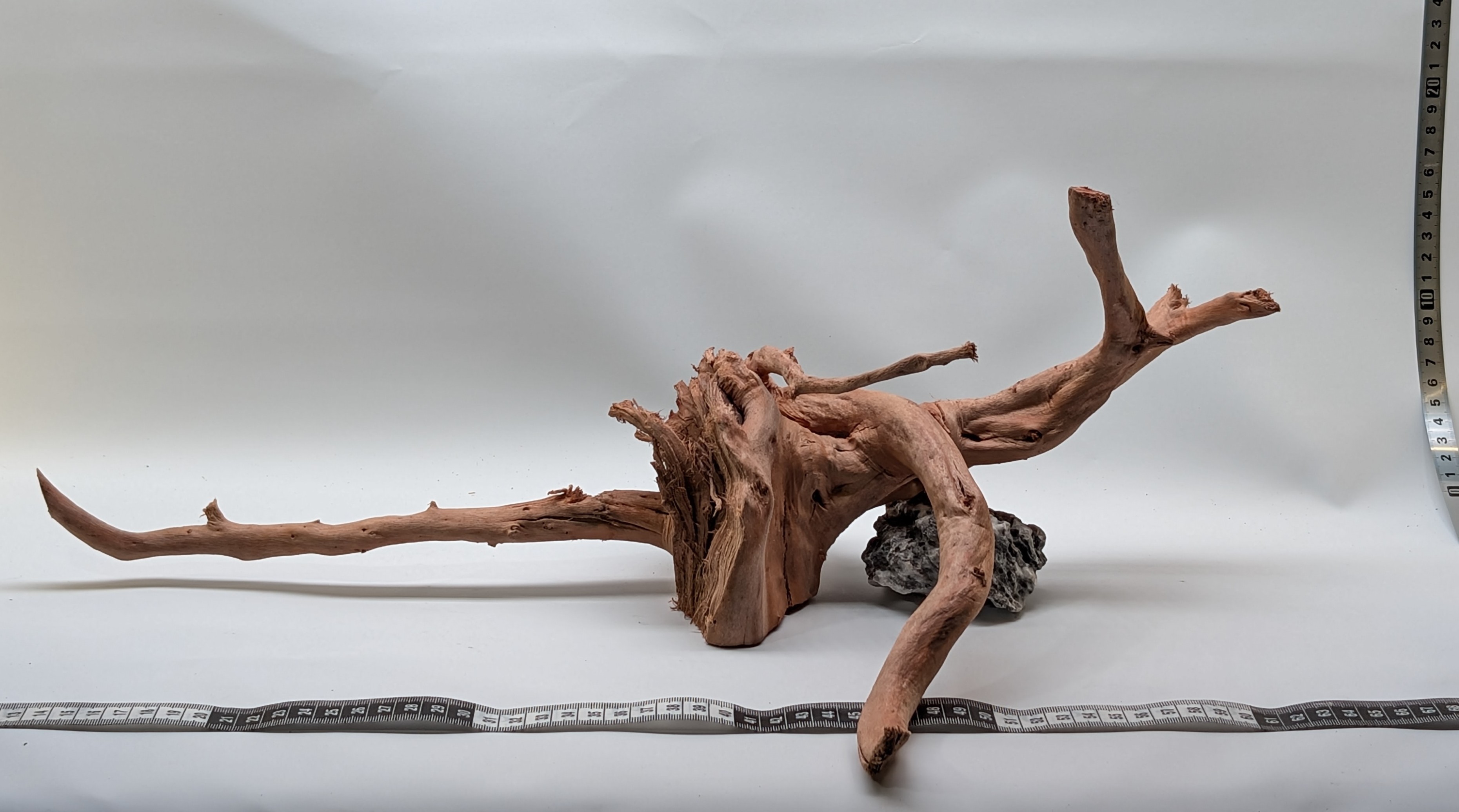 Aquarium gold vine driftwood L size 25-40cm