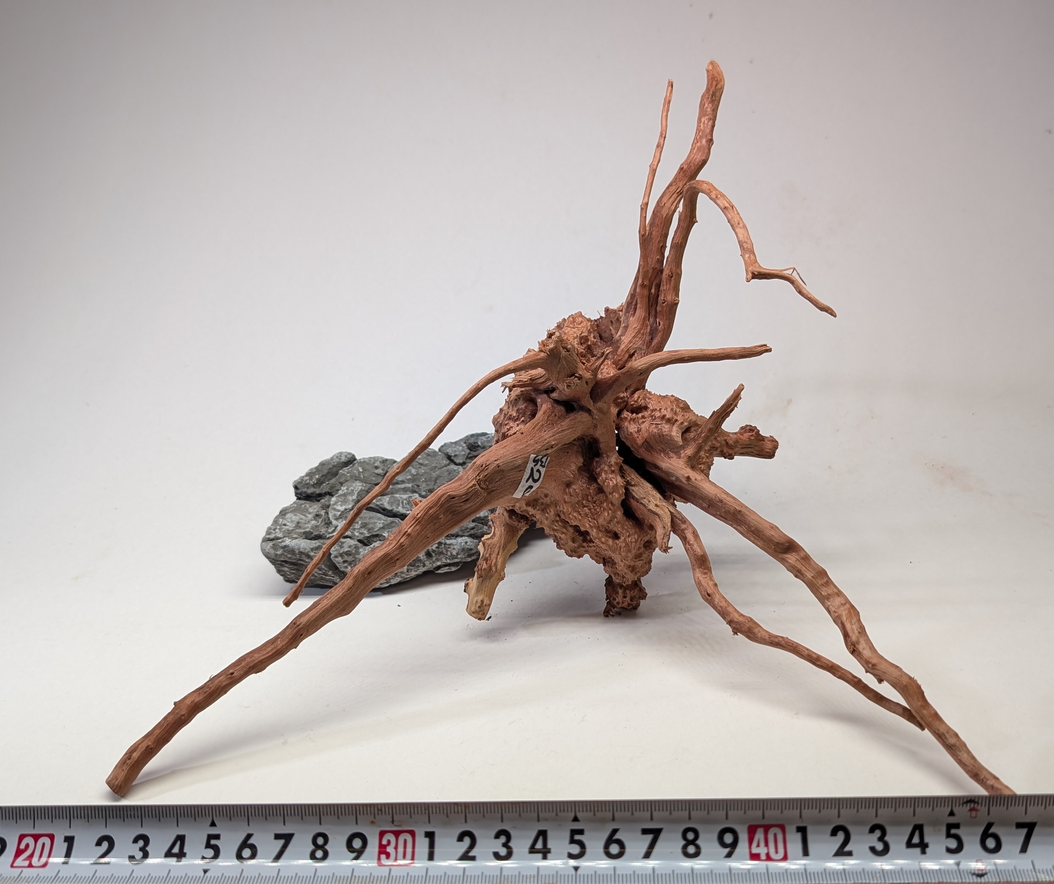 Aquarium gold vine driftwood L size 25-40cm