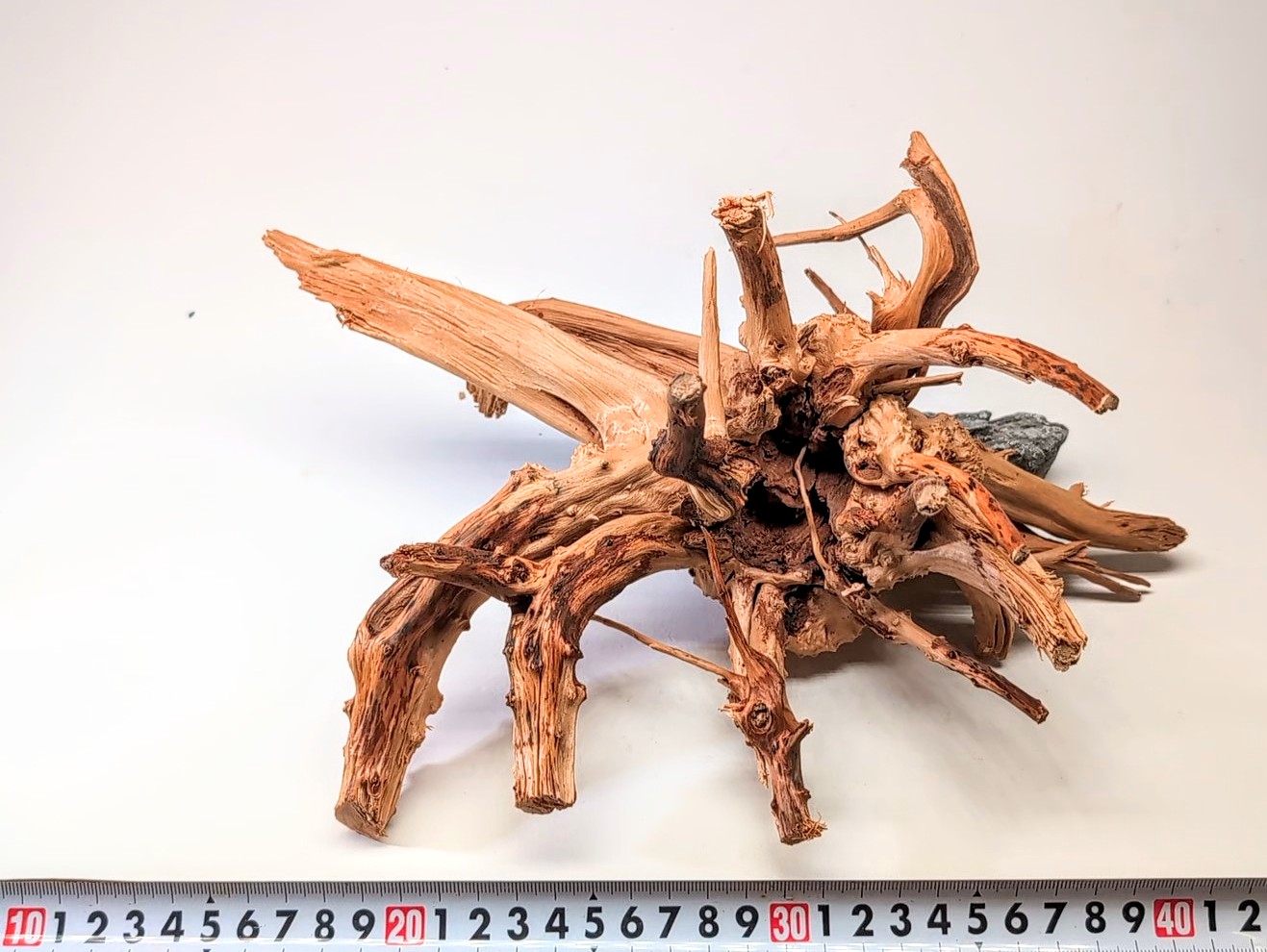 Aquarium gold vine driftwood  L size 25-40cm