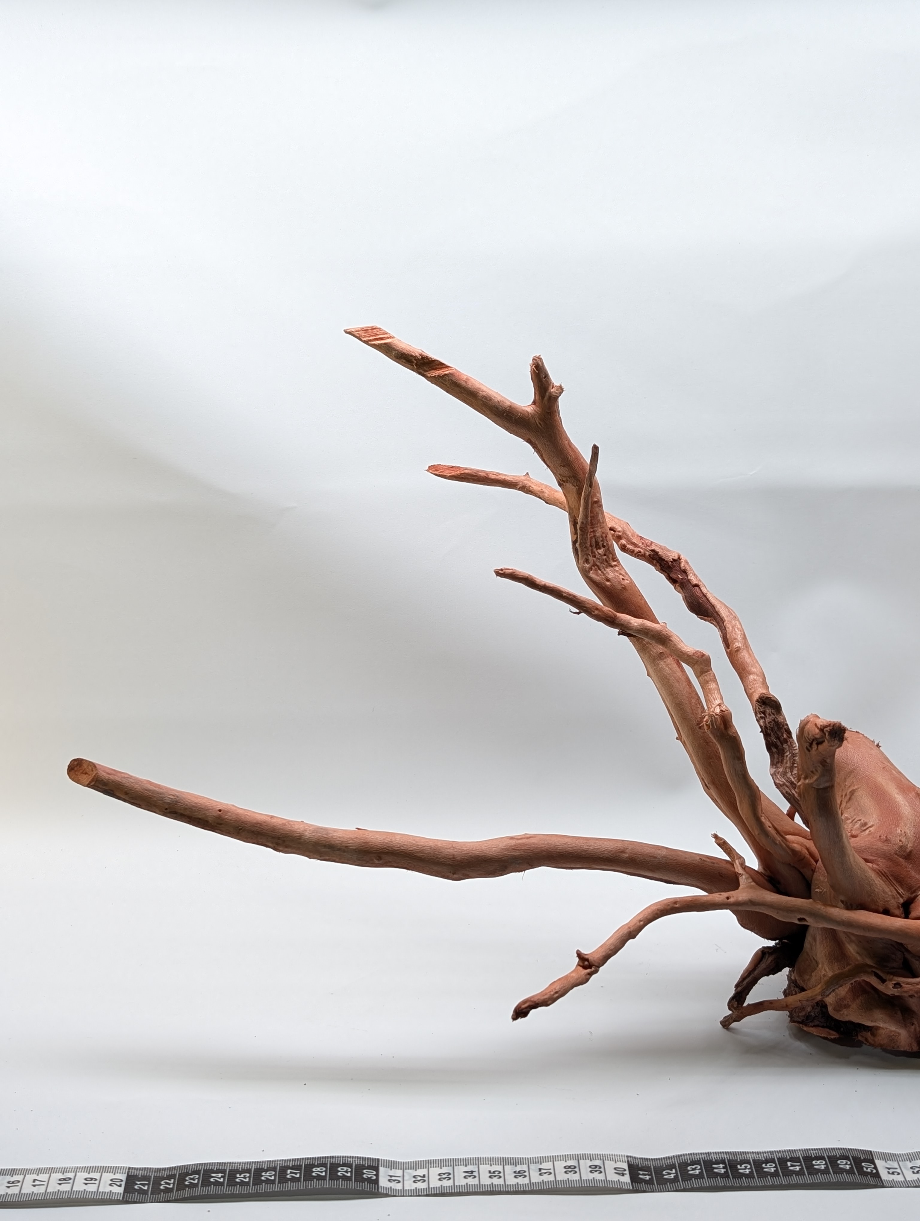 Aquarium Gold Vine driftwood  XL 40-60cm