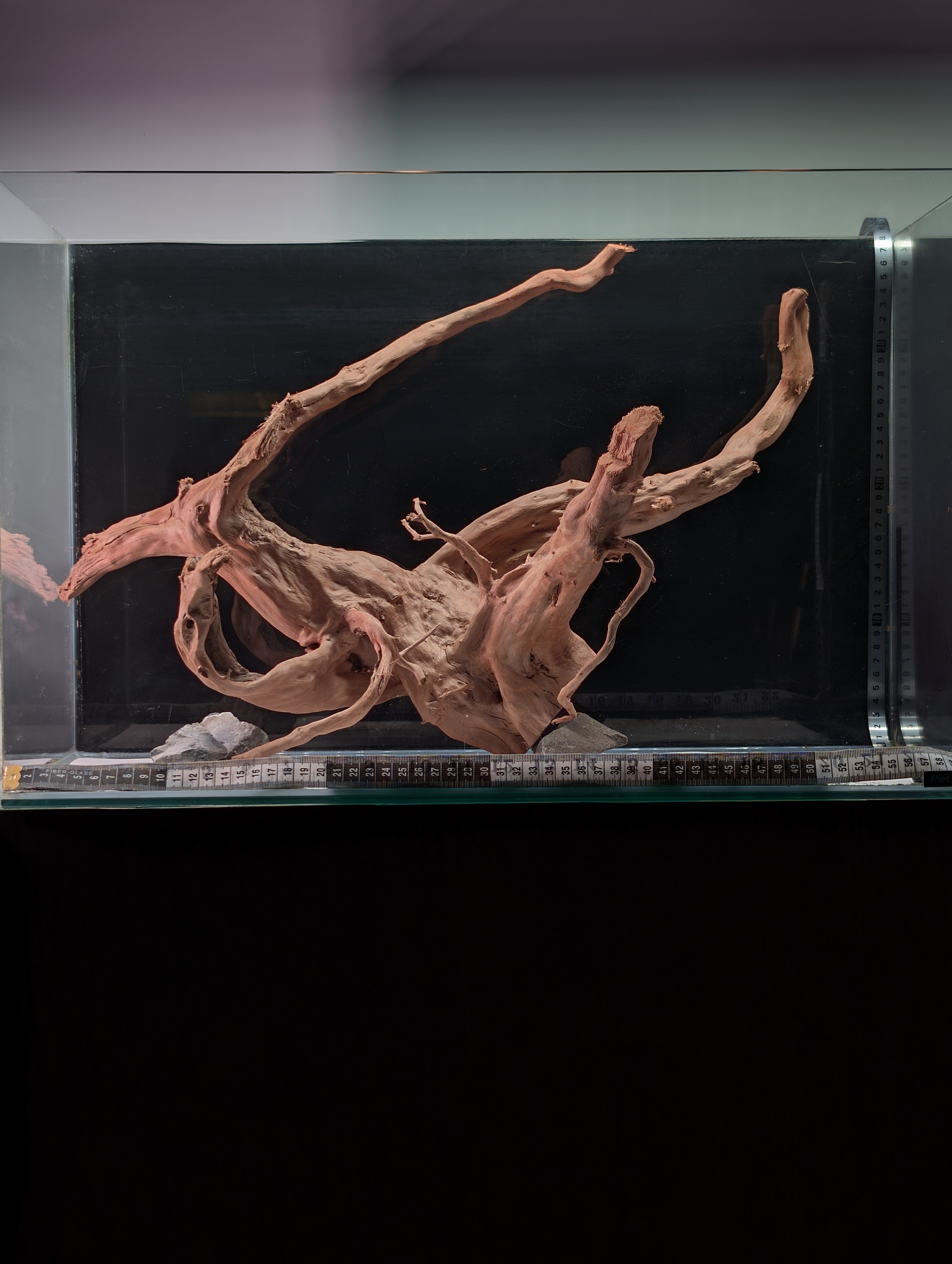 Aquarium Gold Vine driftwood XL 40-60cm