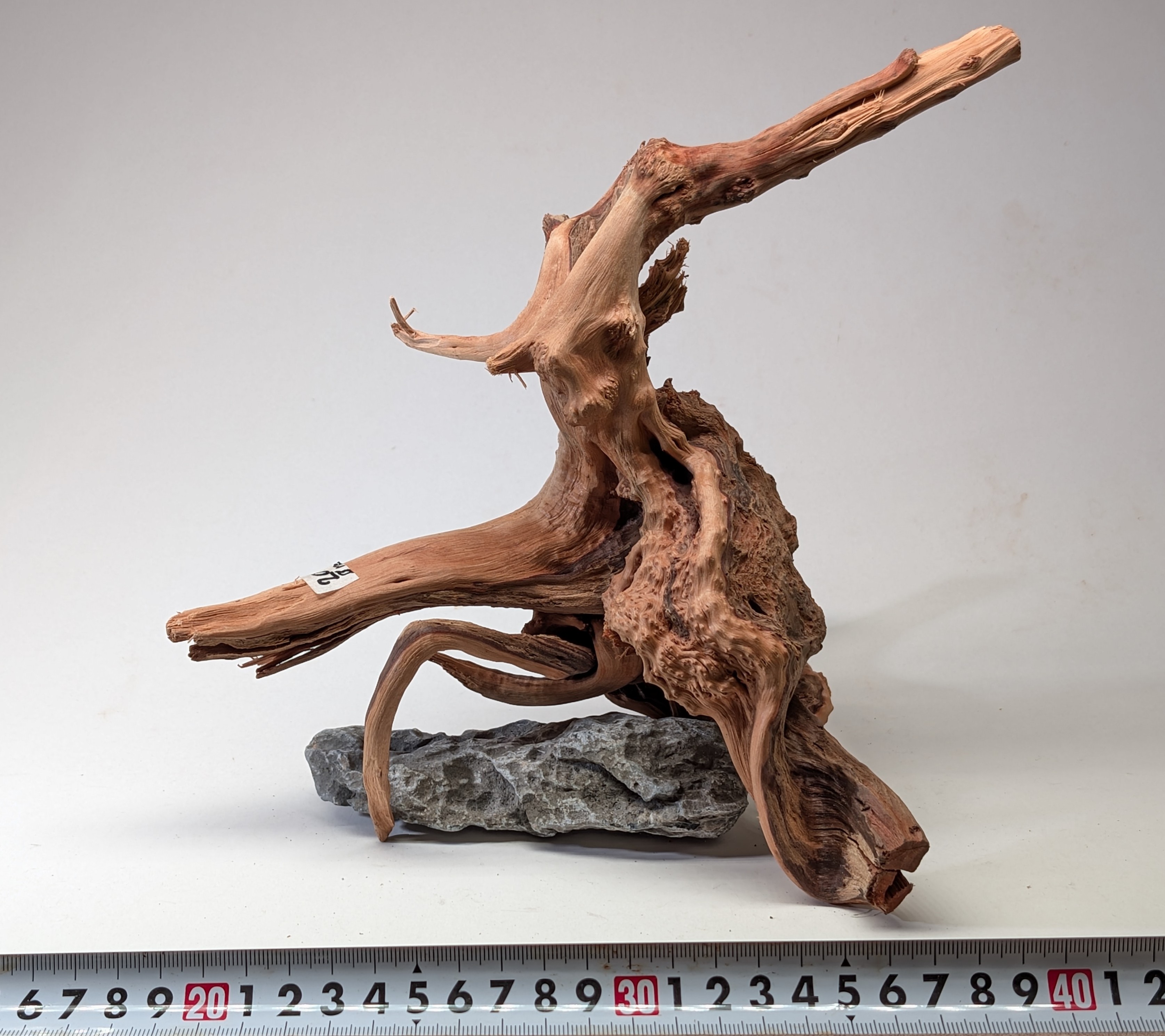 Aquarium gold vine driftwood L size 20-30cm