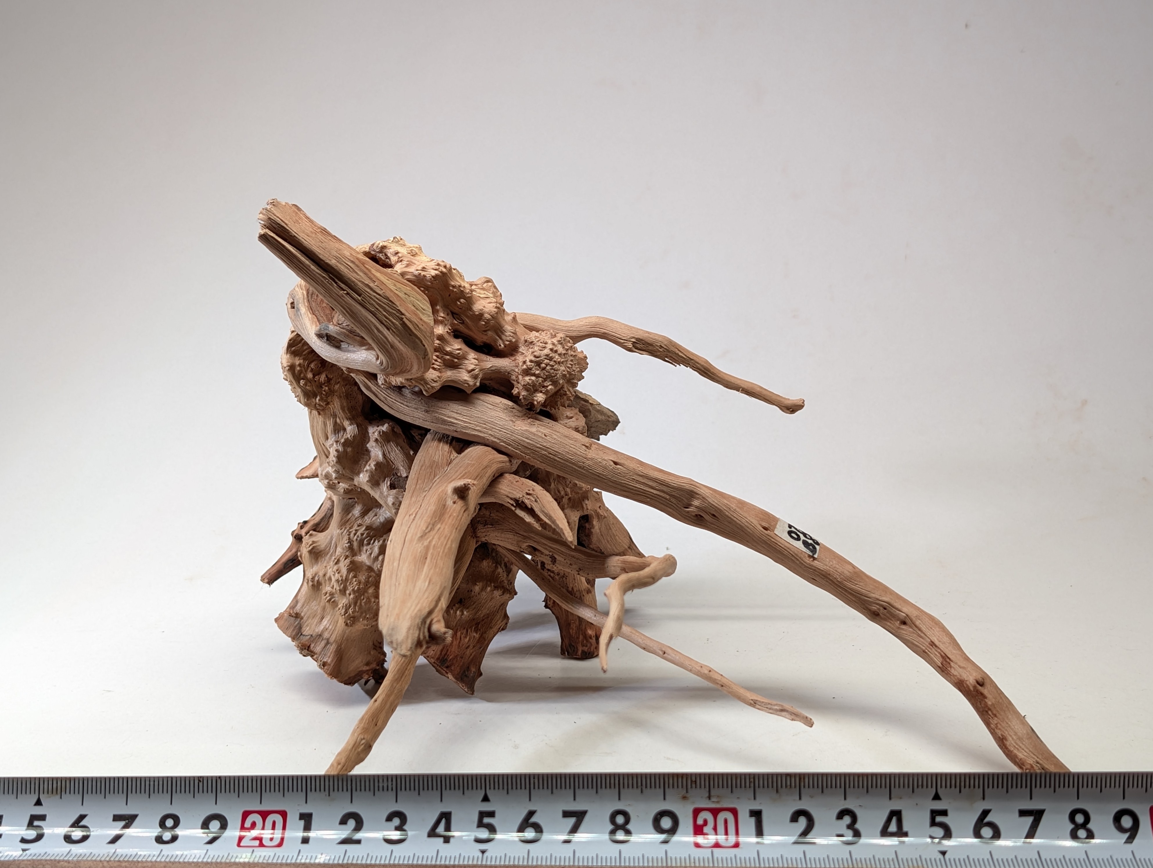 Aquarium gold vine driftwood  L size 25-40cm