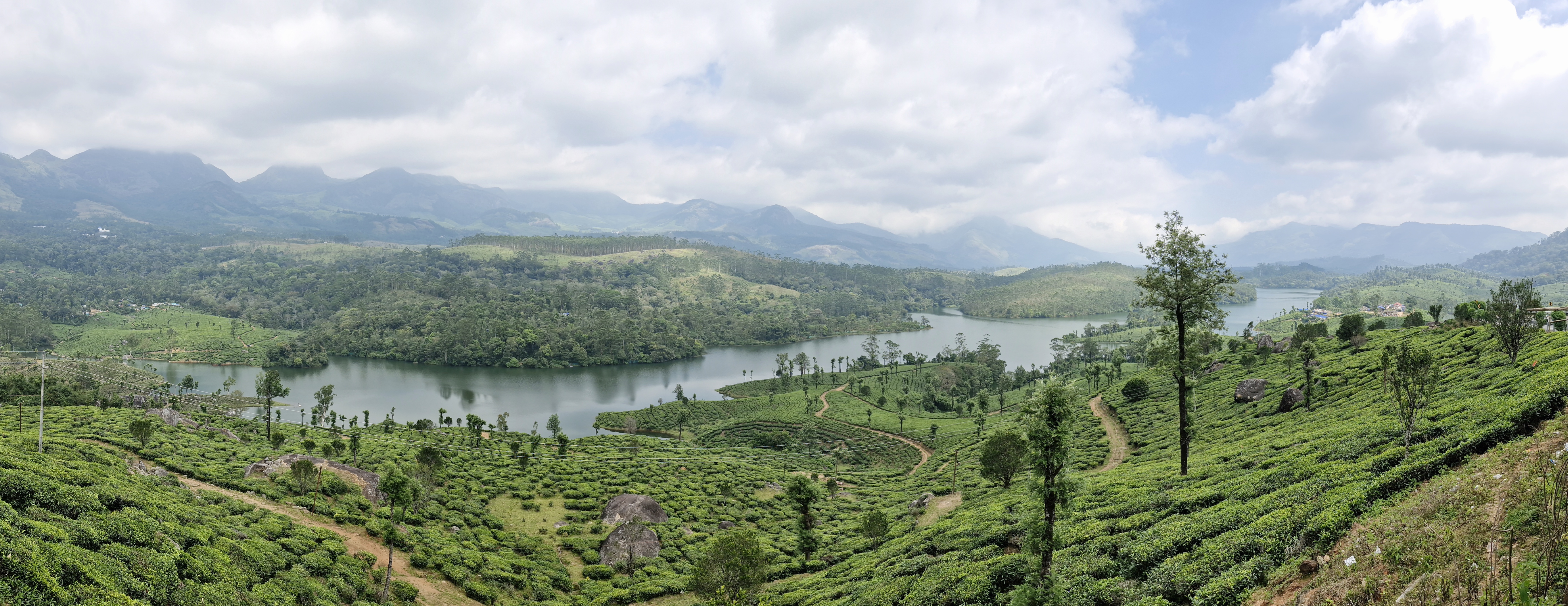 Kodaikanal, Munnar & Alappuzha: Scenic Hills & Backwaters Escape 