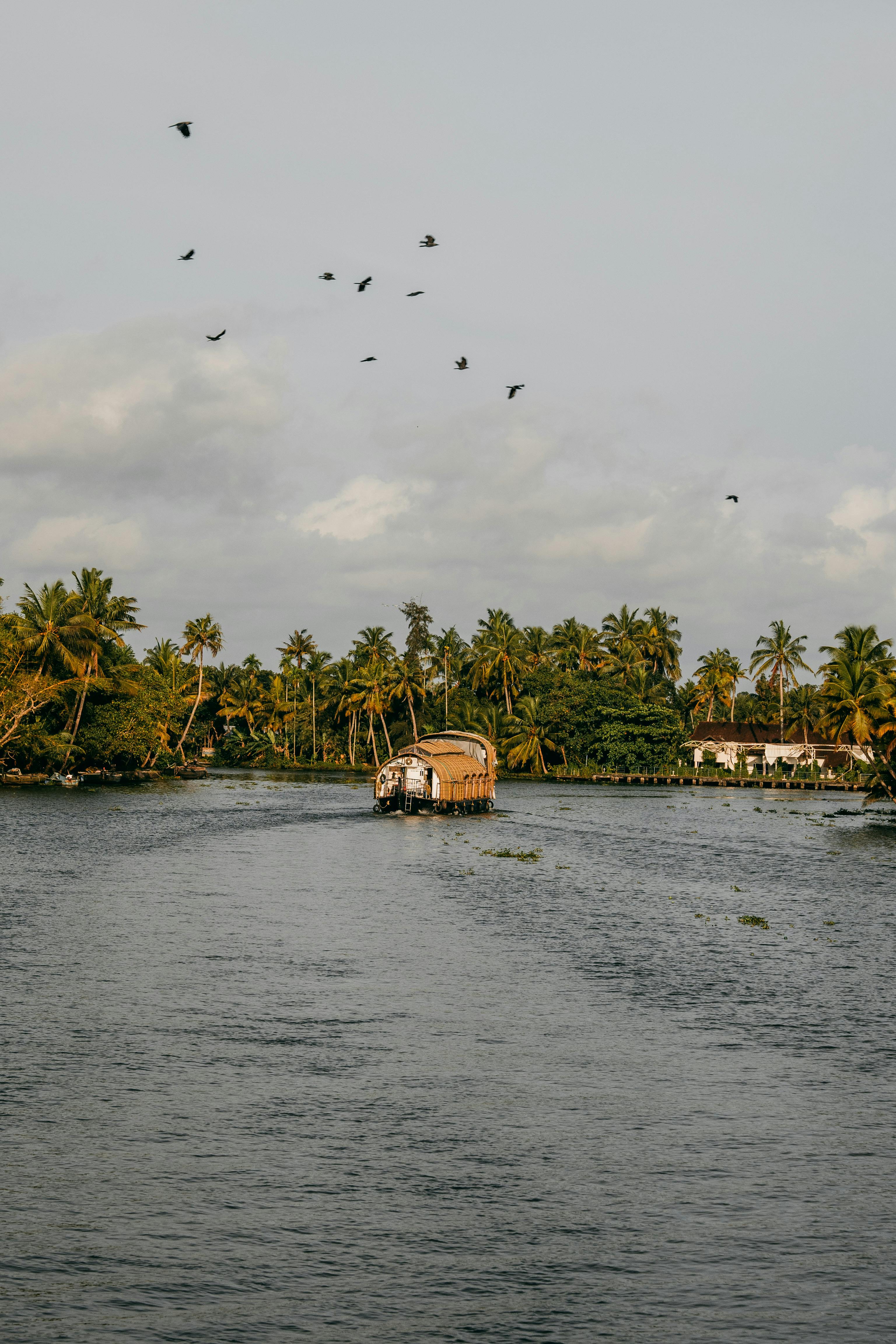 Enchanting Kerala Hills & Backwaters  ✨🌿