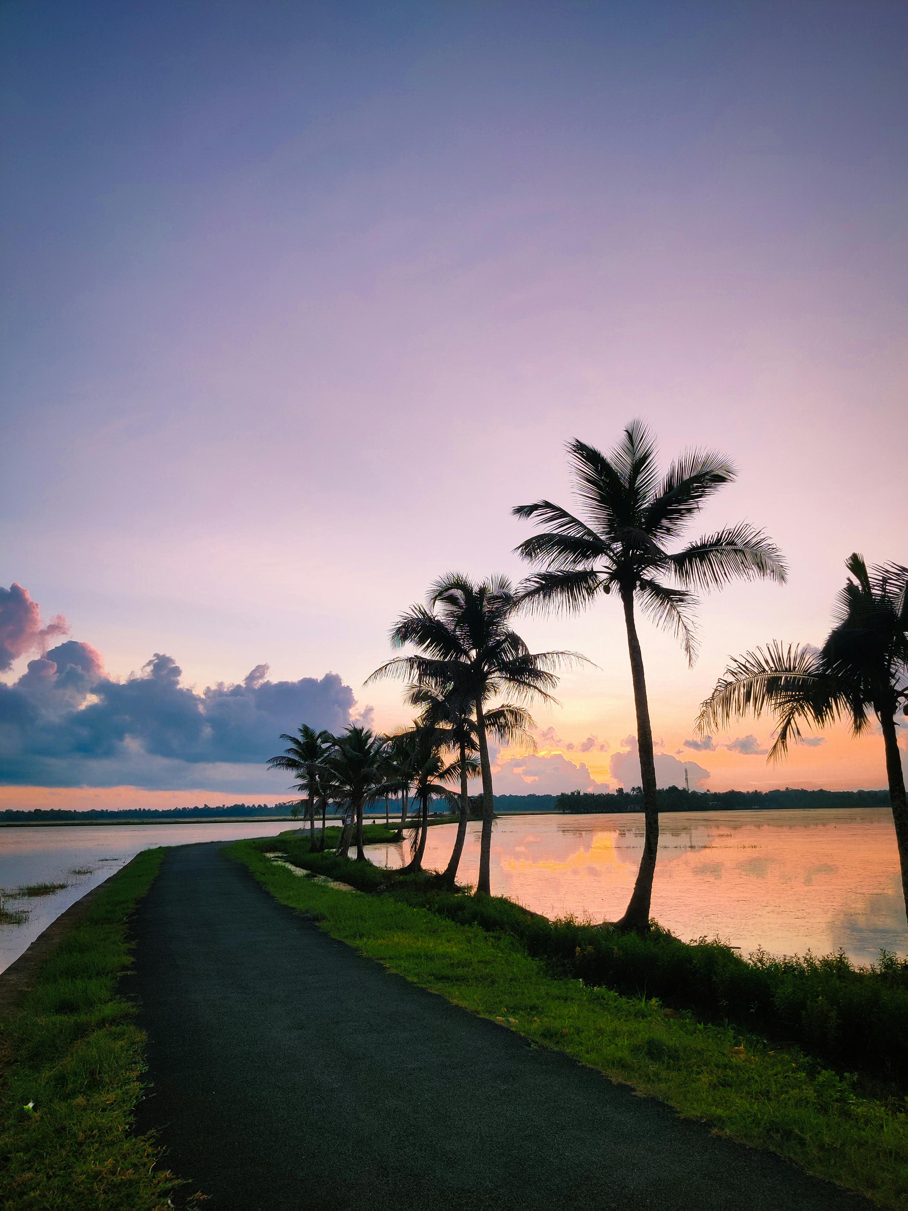 Athirappally, Munnar & Alappuzha - Serene Kerala Waterfalls & Hills Escape ✨🌿