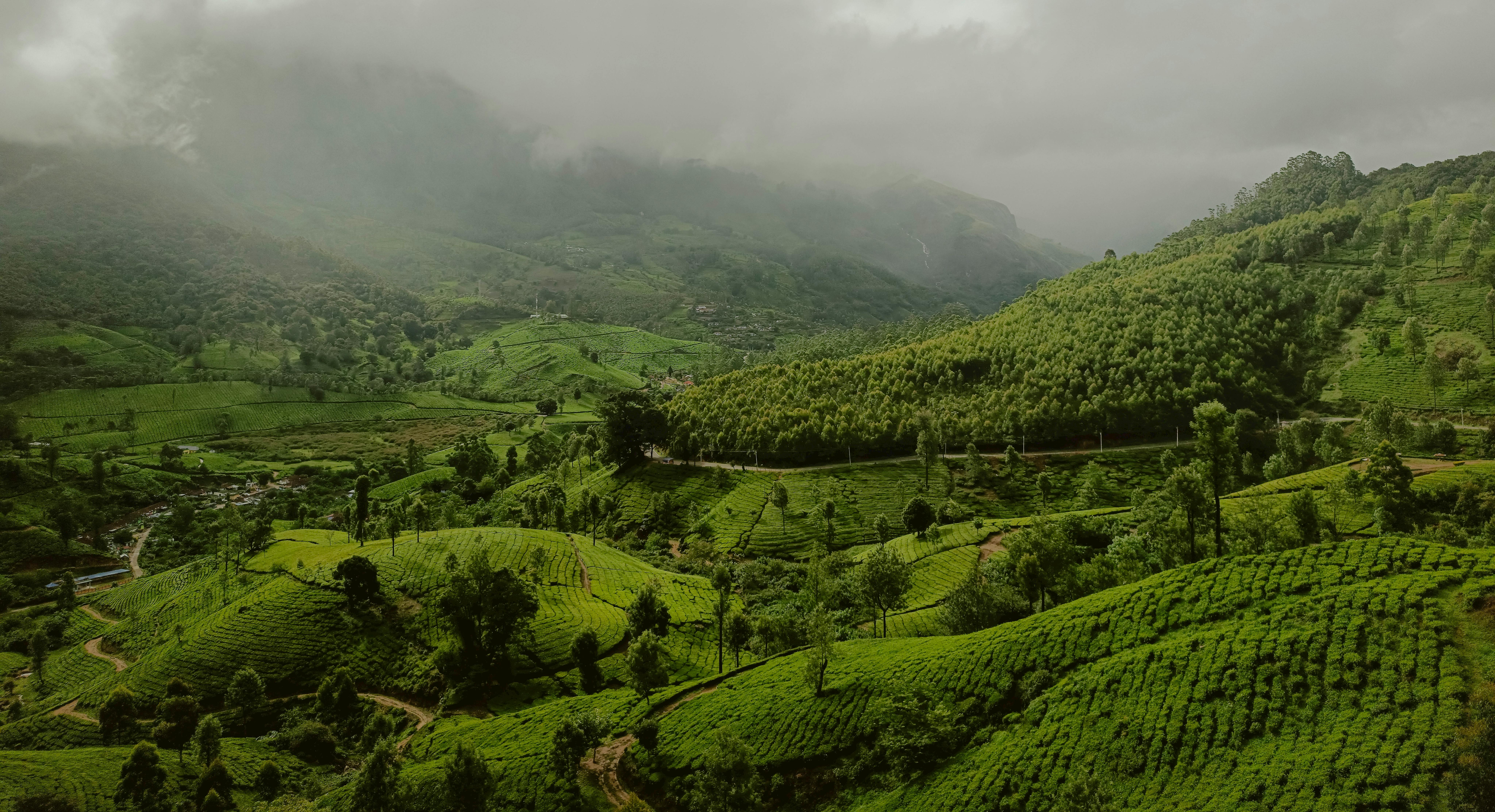 Enchanting Kerala Hills & Backwaters  ✨🌿
