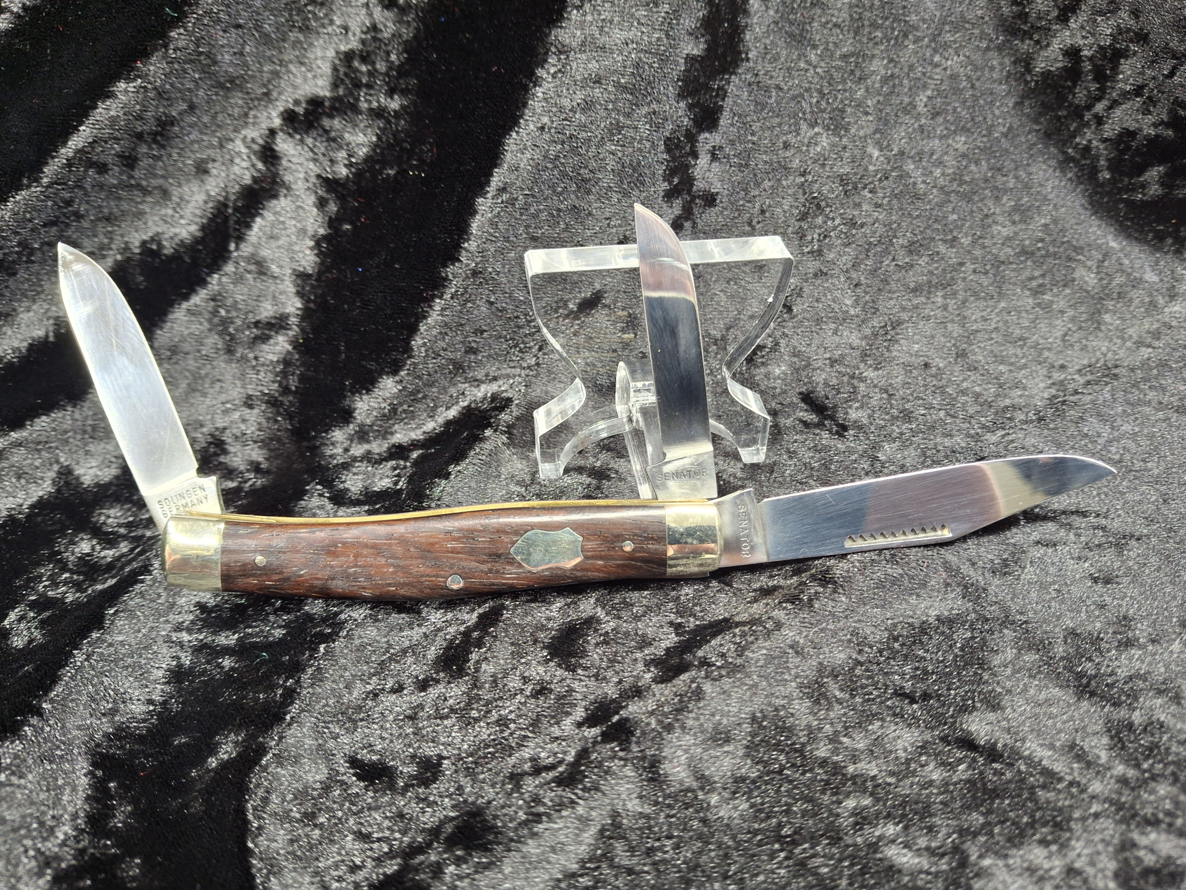 Senator Solingen Pocket Knife