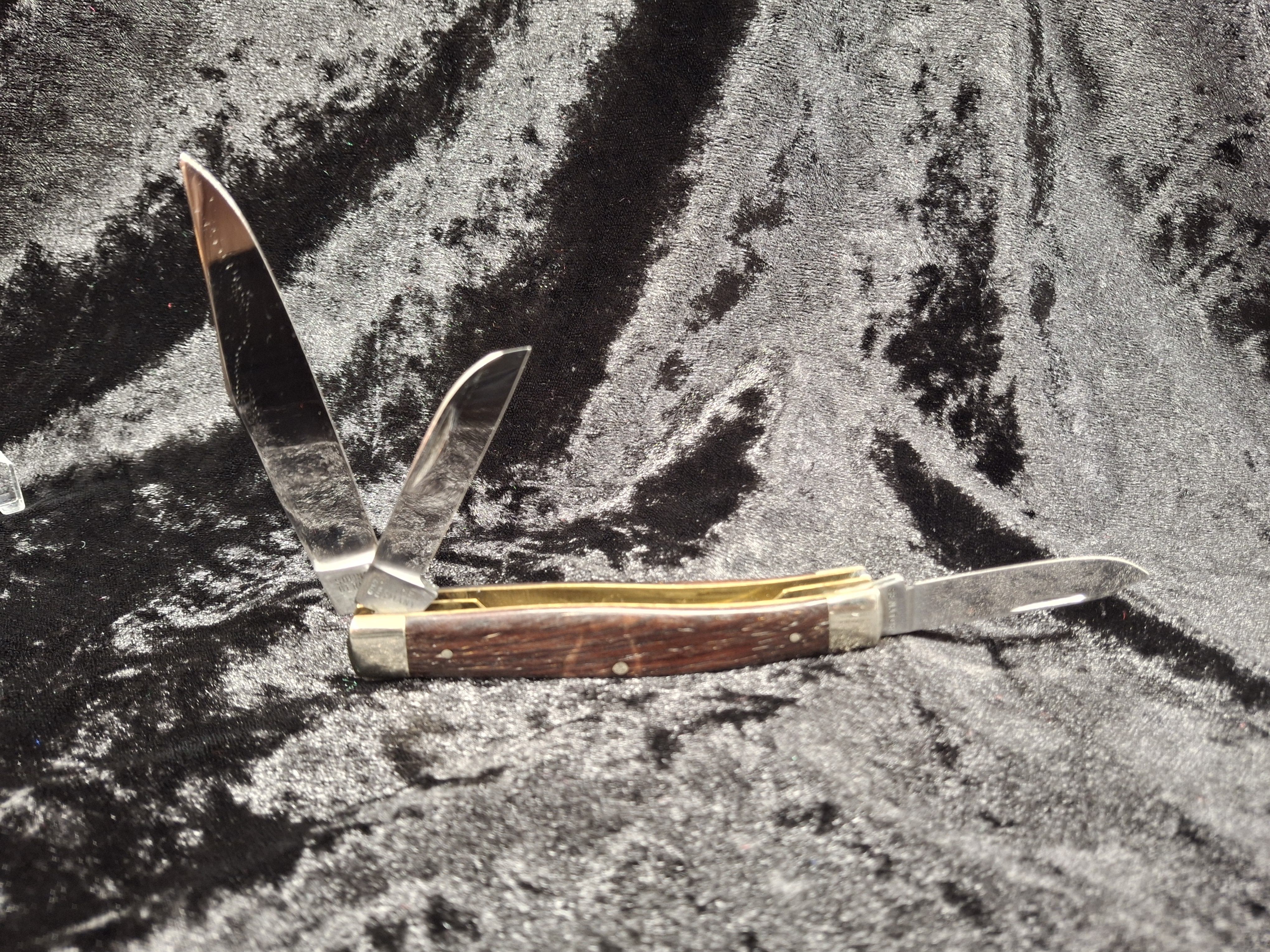 Senator Solingen Pocket Knife