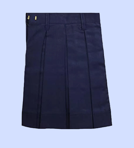 Airforce Blue Pleated Skirt