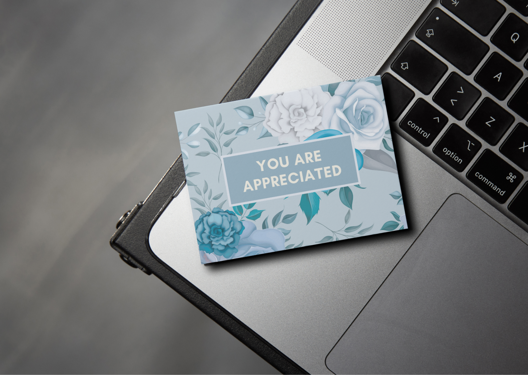You Are Appreciated Pack of 6 Note Cards