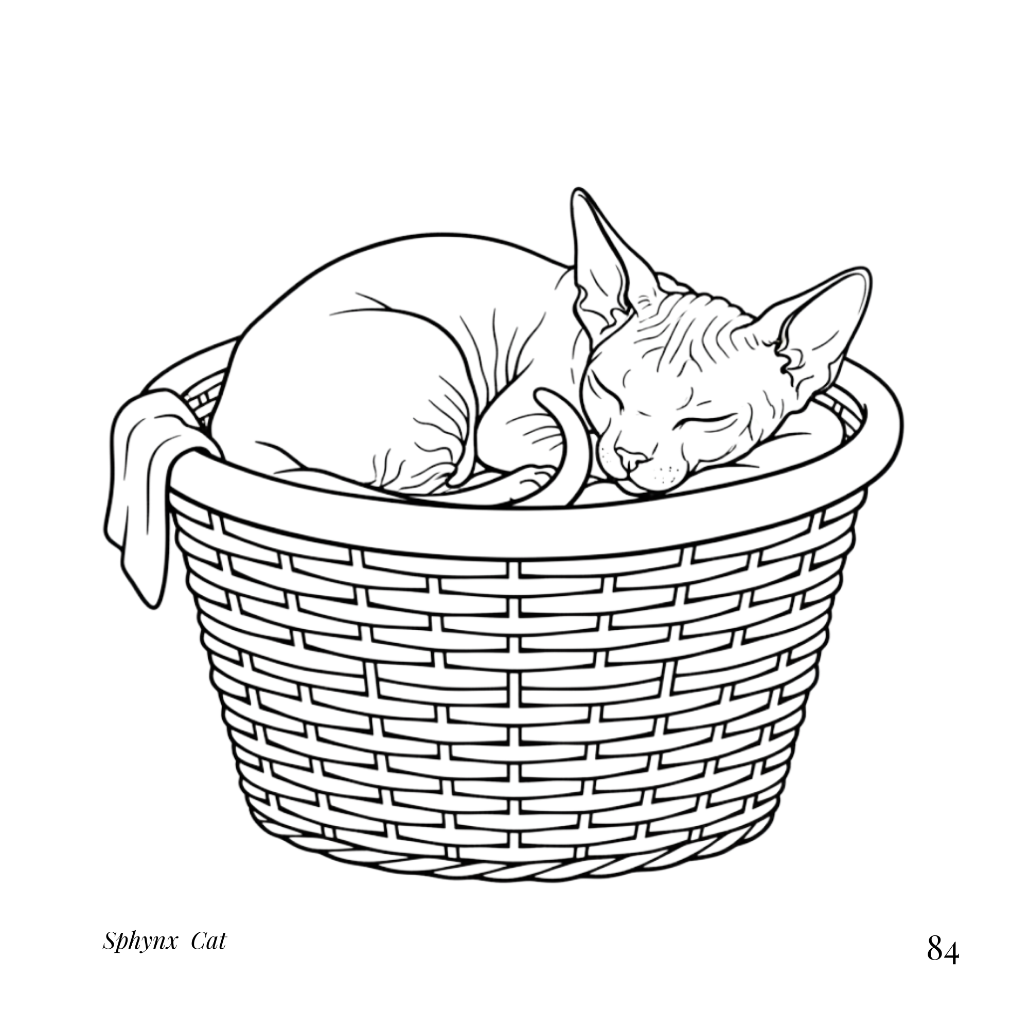 Bold & Easy Cozy  Cats Coloring Book  for Seniors and Teens