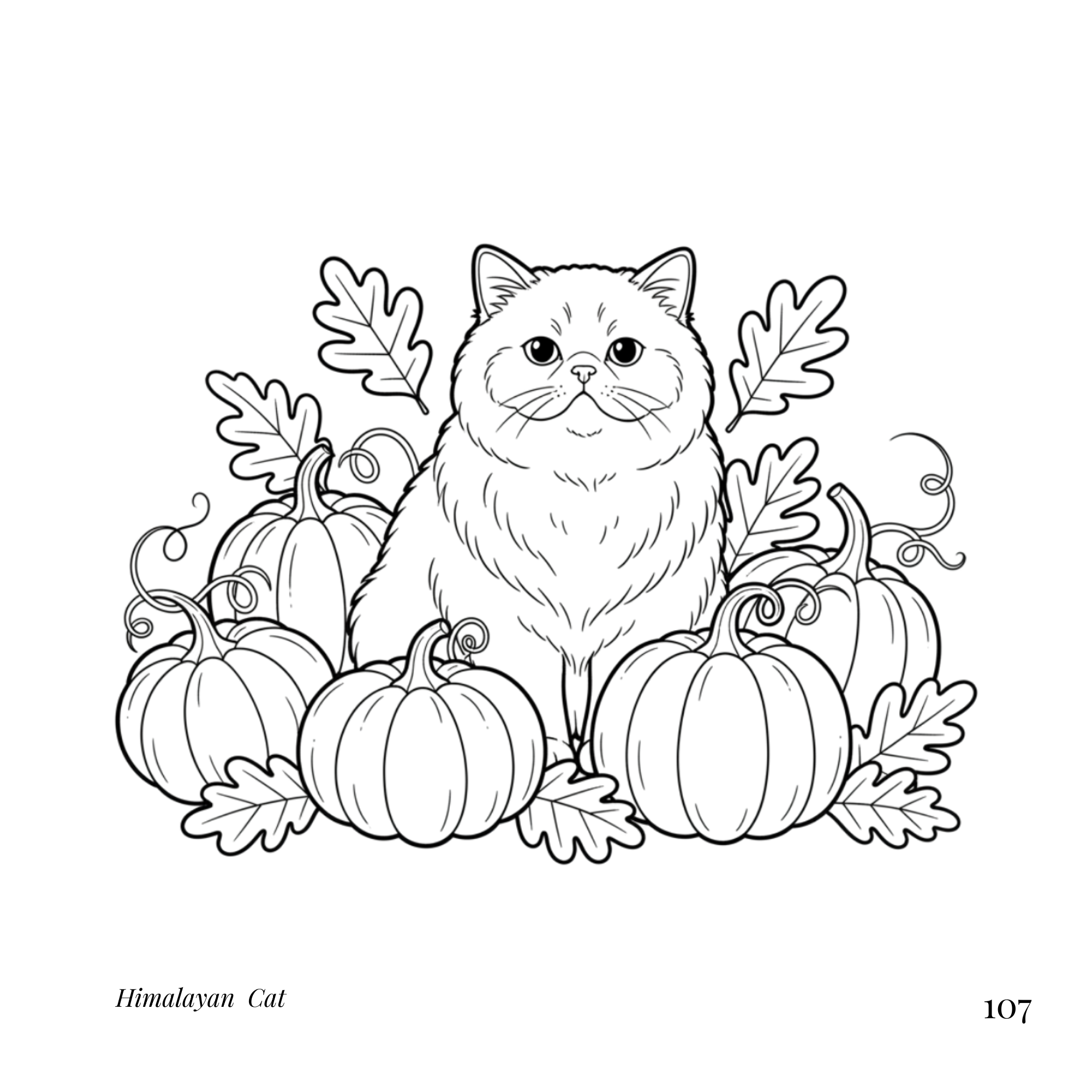 Bold & Easy Cozy  Cats Coloring Book  for Seniors and Teens