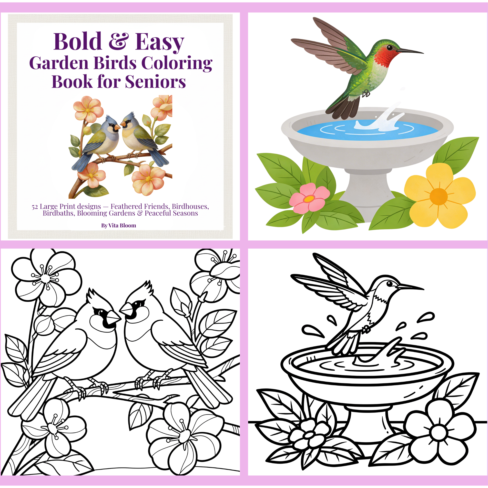 Bold & Easy  Garden Birds Coloring Book for Seniors