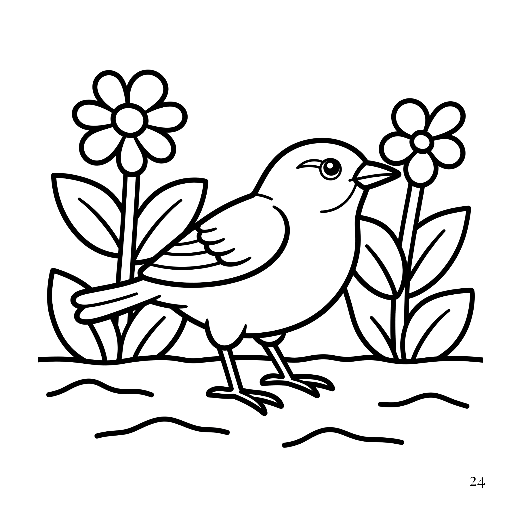 Bold & Easy  Garden Birds Coloring Book for Seniors