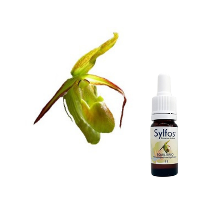 4 - ORQUIDEA DEL EQUILIBRIO