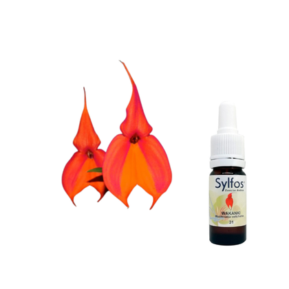 17 - ORQUÍDEA WAKANKI