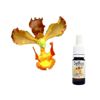 16 - ORQUÍDEA DE LA UNIÓN