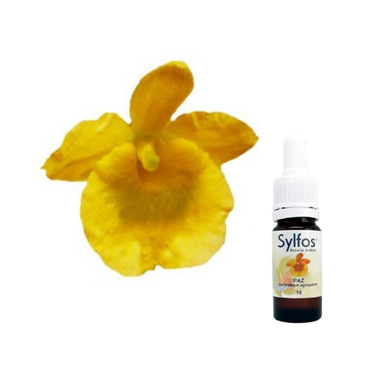 9 - ORQUIDEA DE LA PAZ