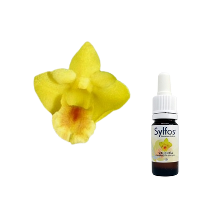 14 - ORQUIDEA DE LA VALENTIA