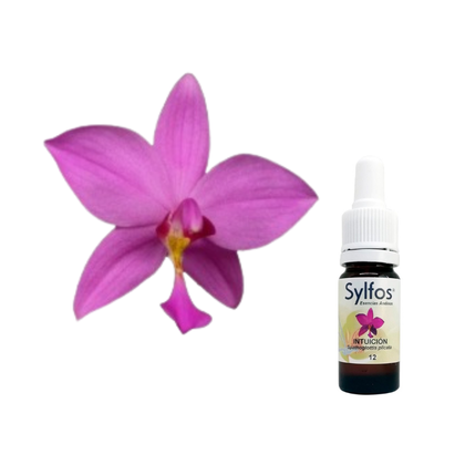 5 - ORQUIDEA DE LA INTUICION