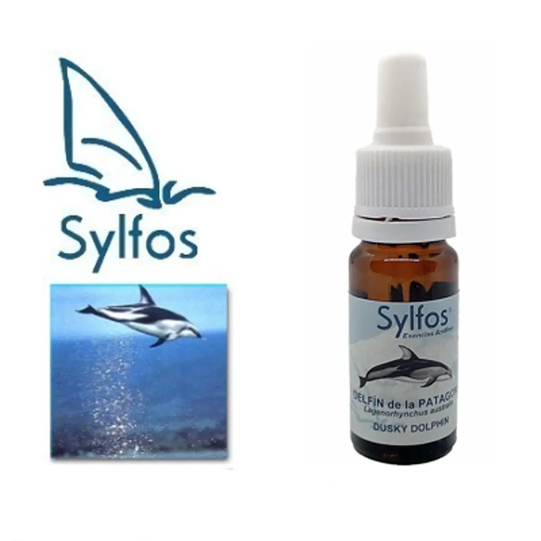 12 - DELFÍN de la PATAGONIA