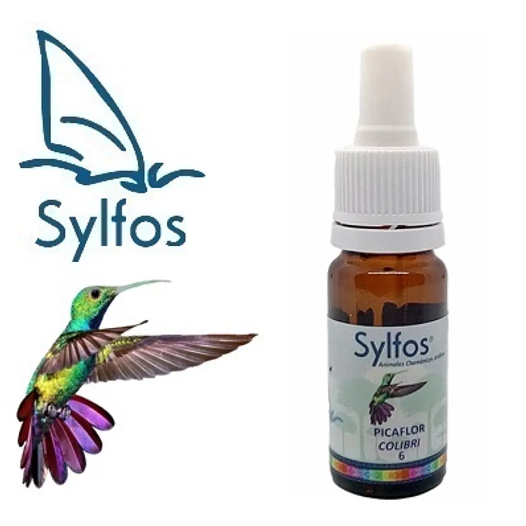 6 - PICAFLOR - COLIBRI