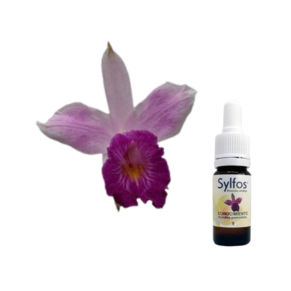 3 - ORQUIDEA DEL CONOCIMIENTO