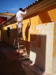 Servicio de Pintura Profesional