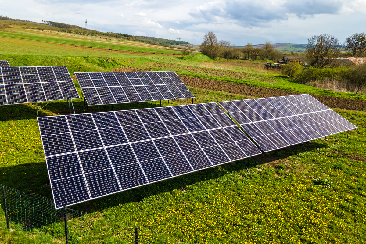 Paneles solares