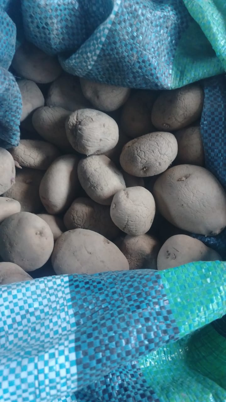 PAPAS