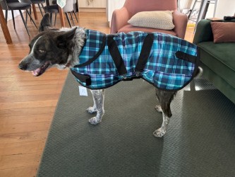 Dog Coats - Quality Ripstop coats