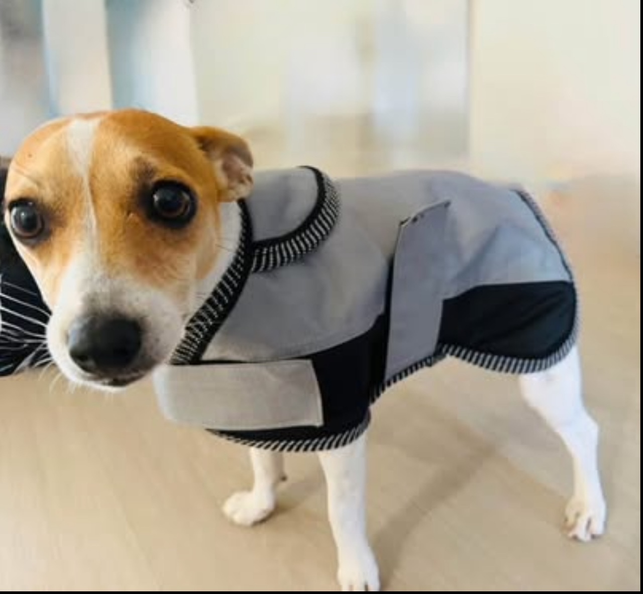 Dog Coats - Quality Ripstop coats
