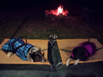 Dog Coats - Quality Ripstop coats