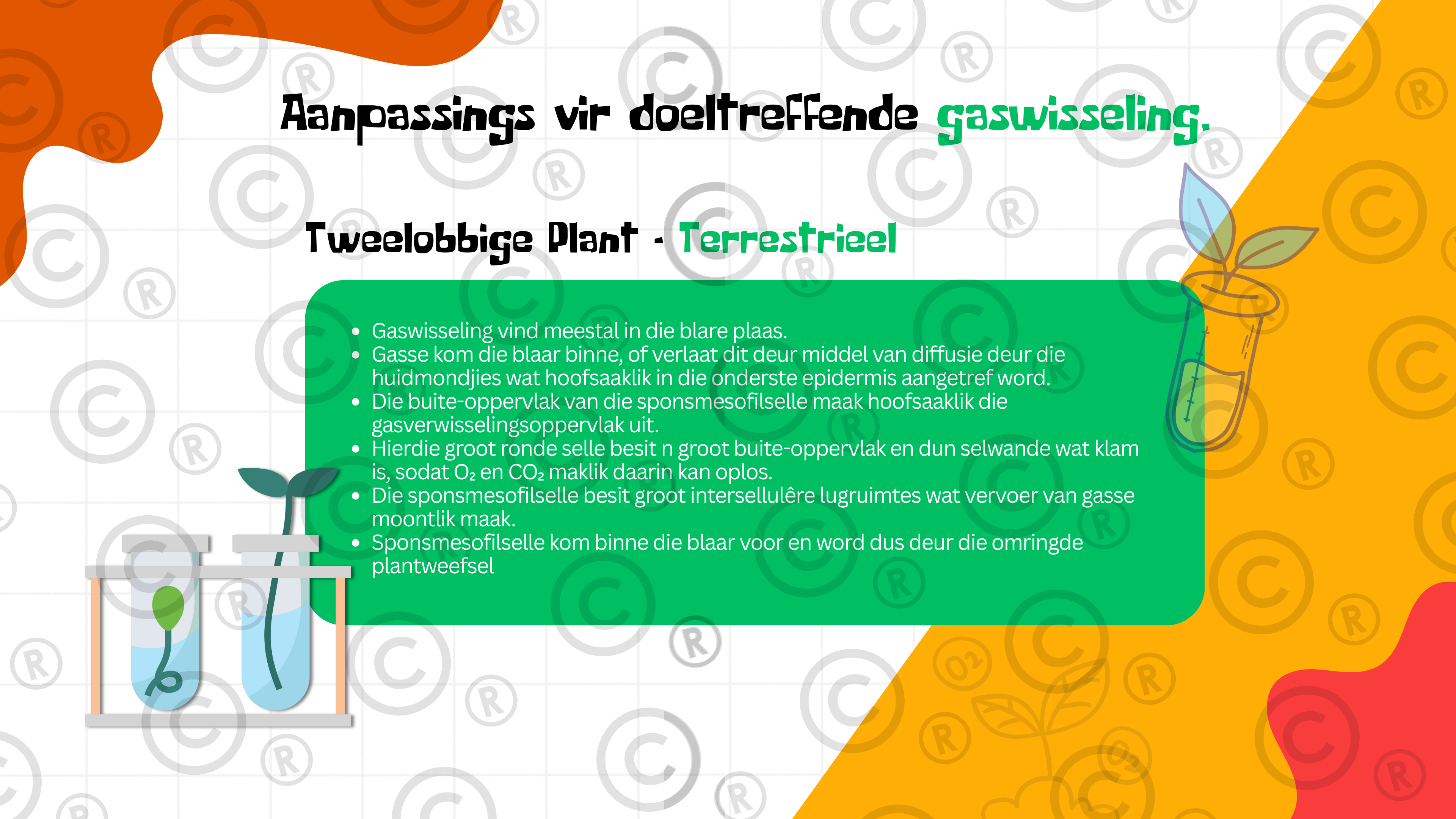 Gr11 Biologie - Eenheid 4: Gaswisseling