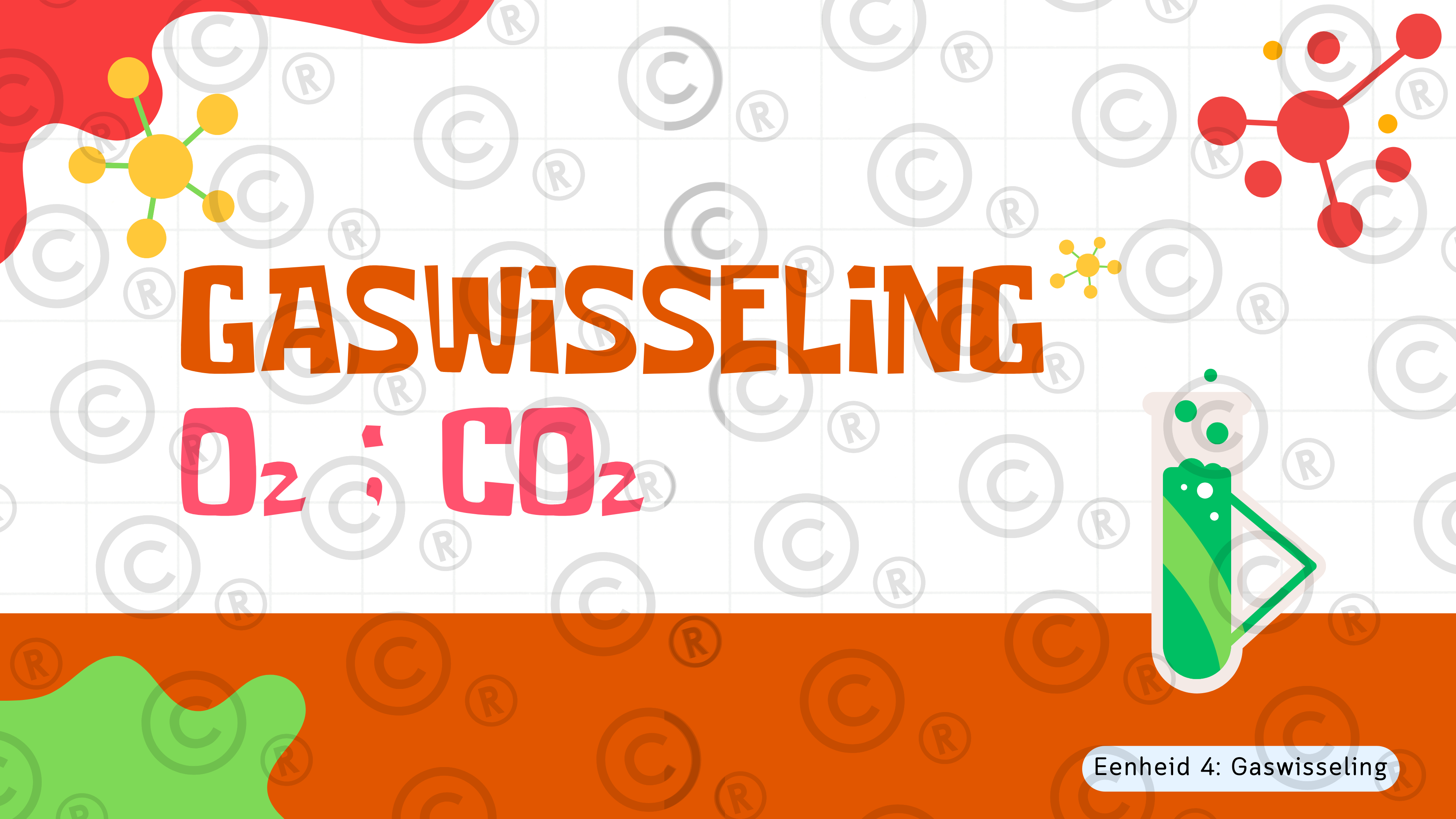 Gr11 Biologie - Eenheid 4: Gaswisseling