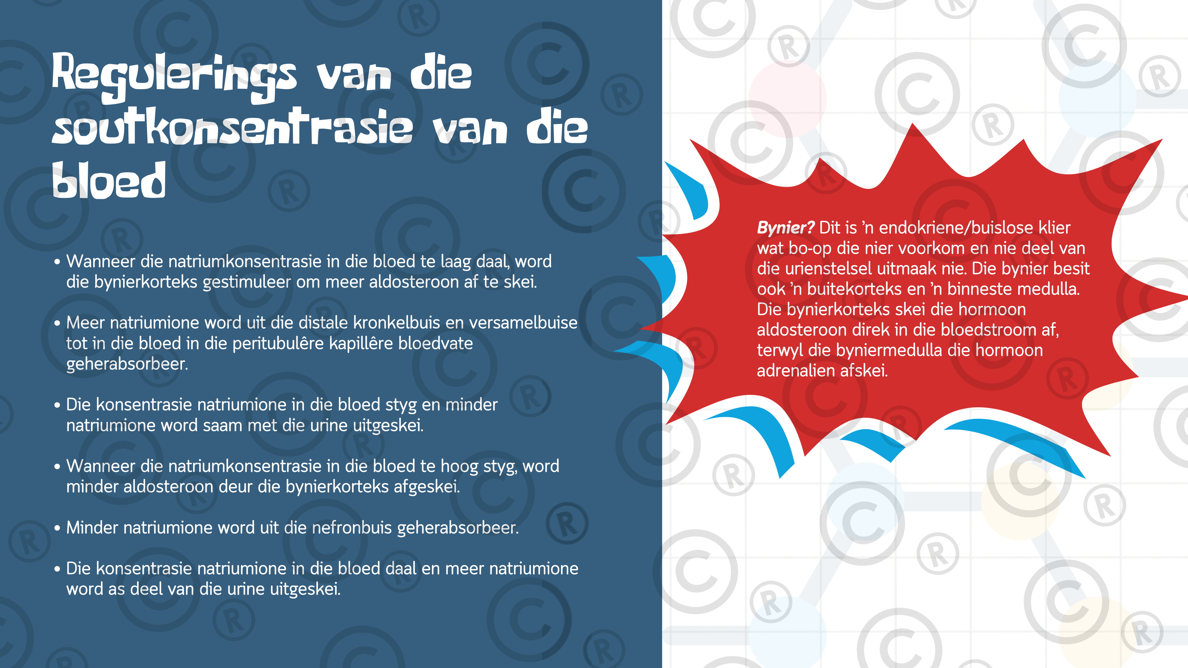 Gr11 Biologie - Eenheid 5: Ekskresie