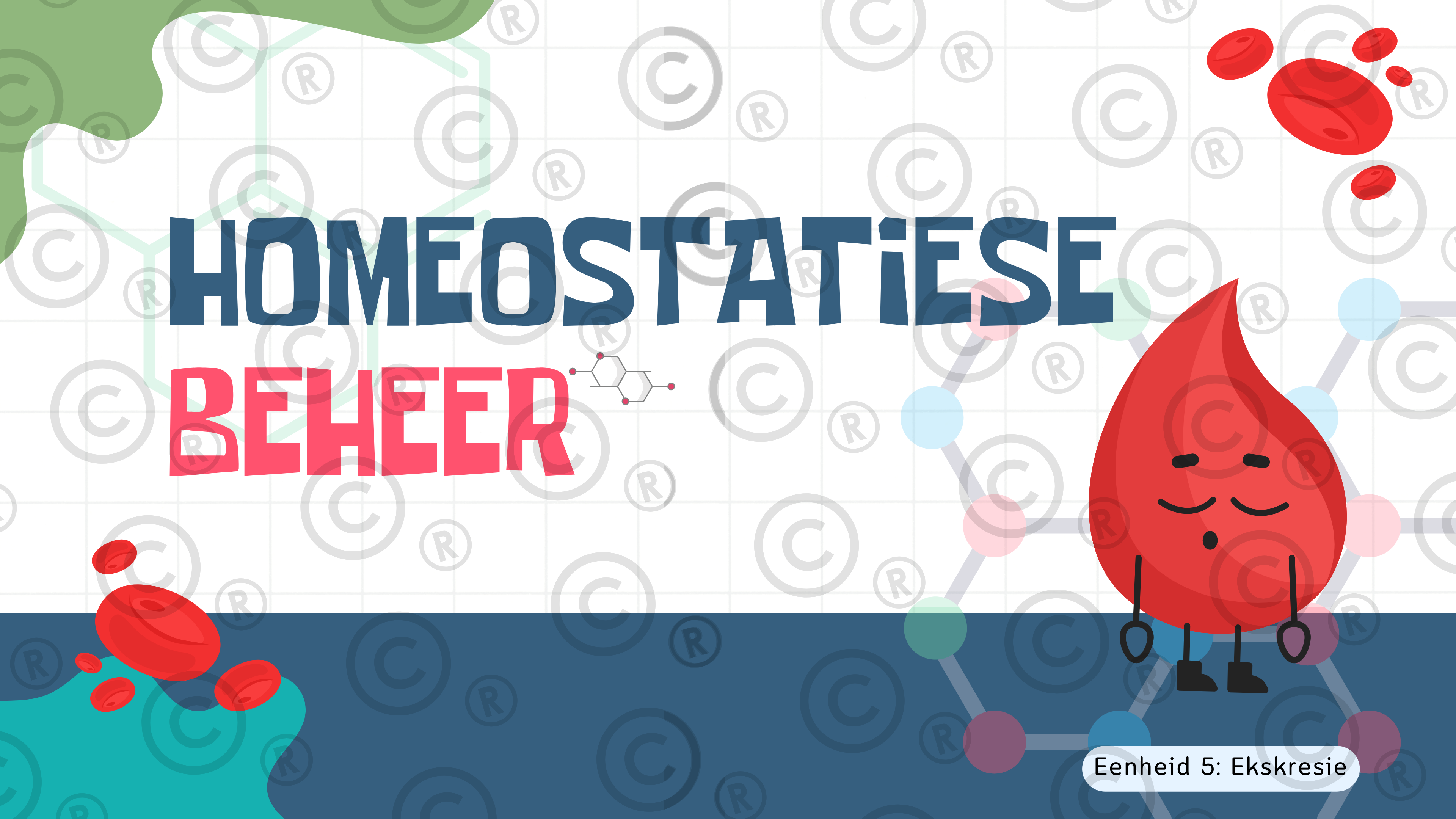 Gr11 Biologie - Eenheid 5: Ekskresie