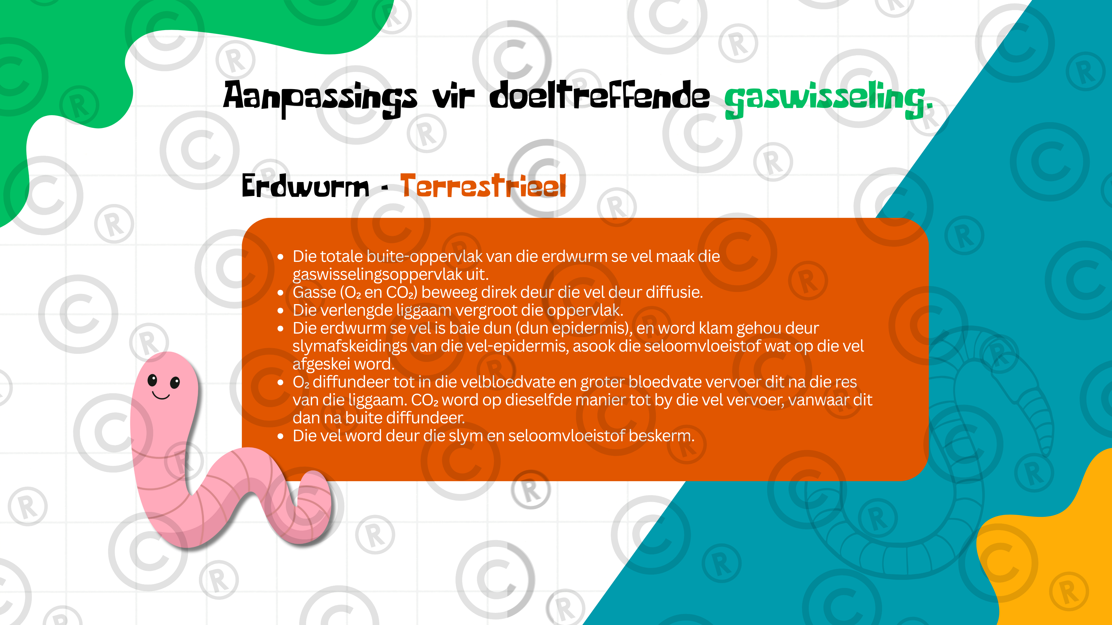 Gr11 Biologie - Eenheid 4: Gaswisseling
