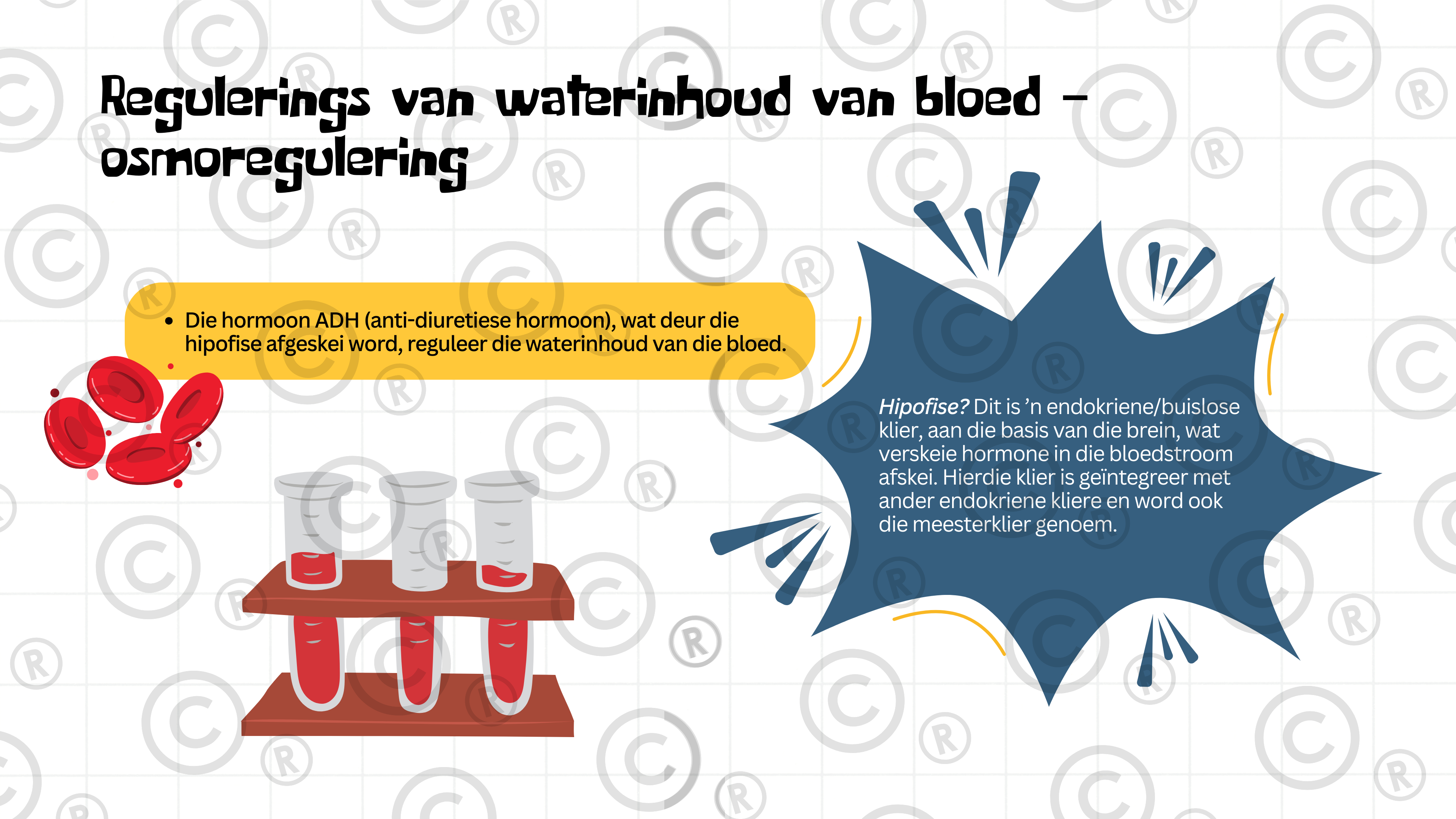 Gr11 Biologie - Eenheid 5: Ekskresie