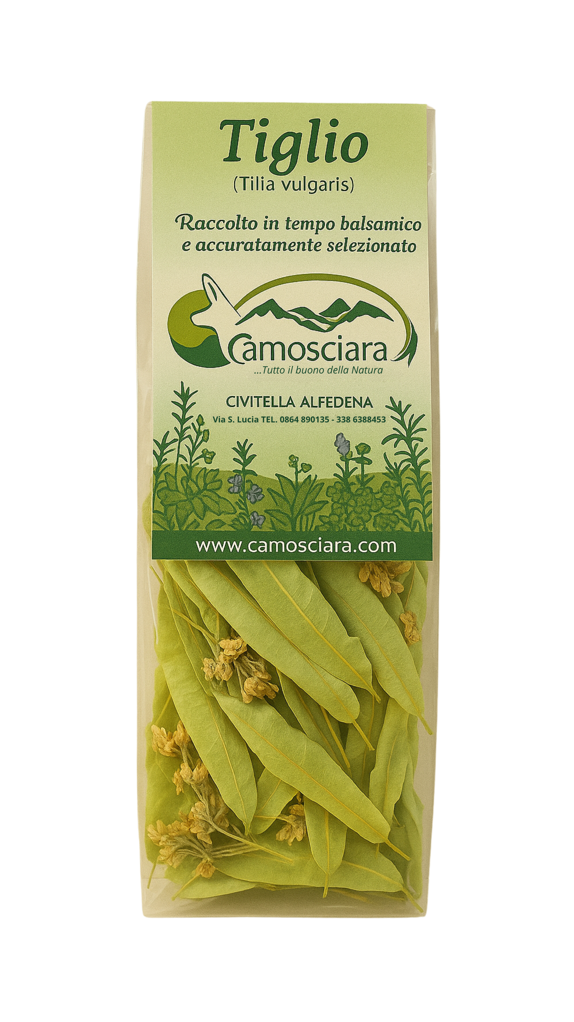 Tiglio (Tilia vulgaris) - Camosciara